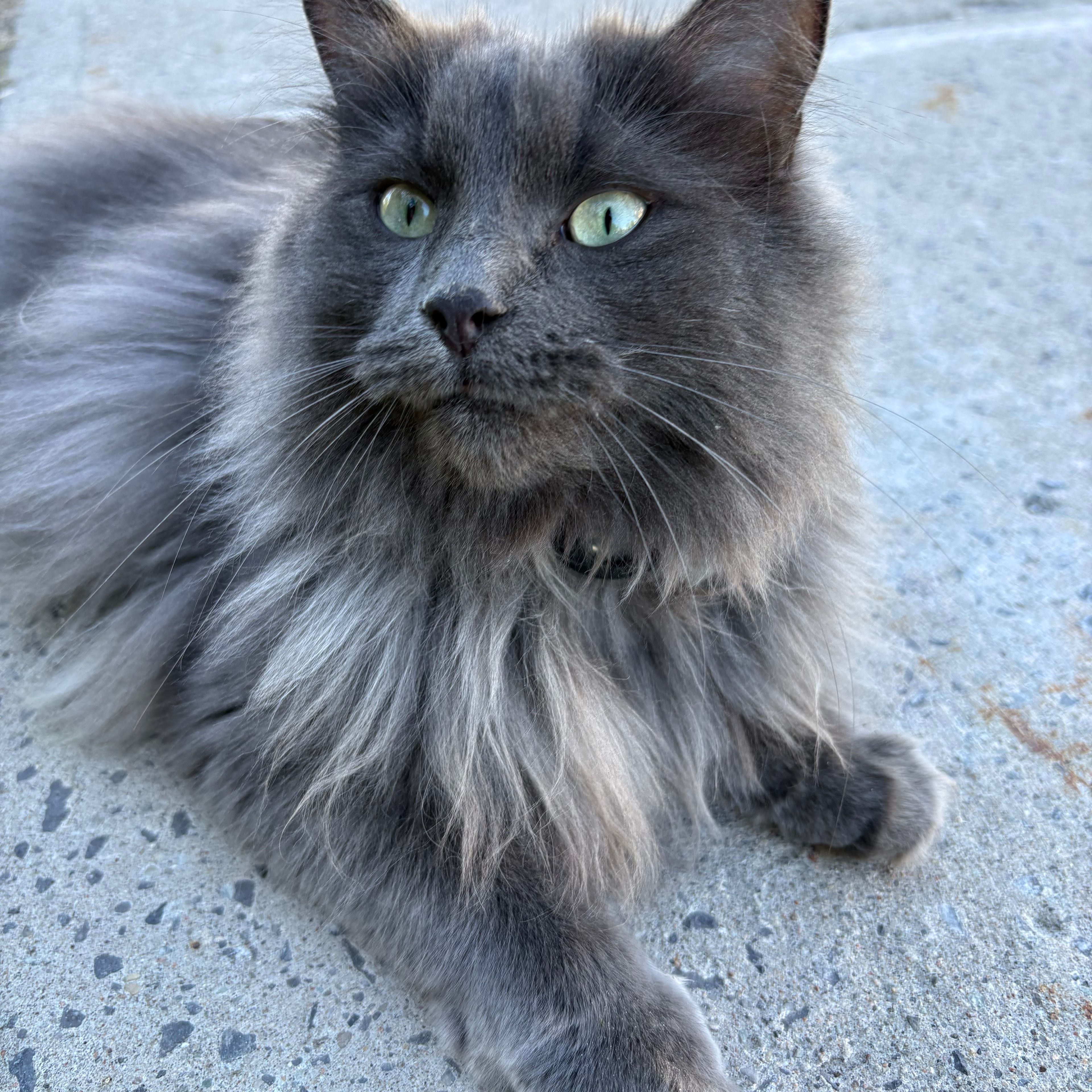 Julie