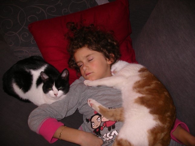 image-8