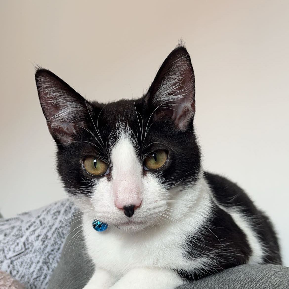 Lenny