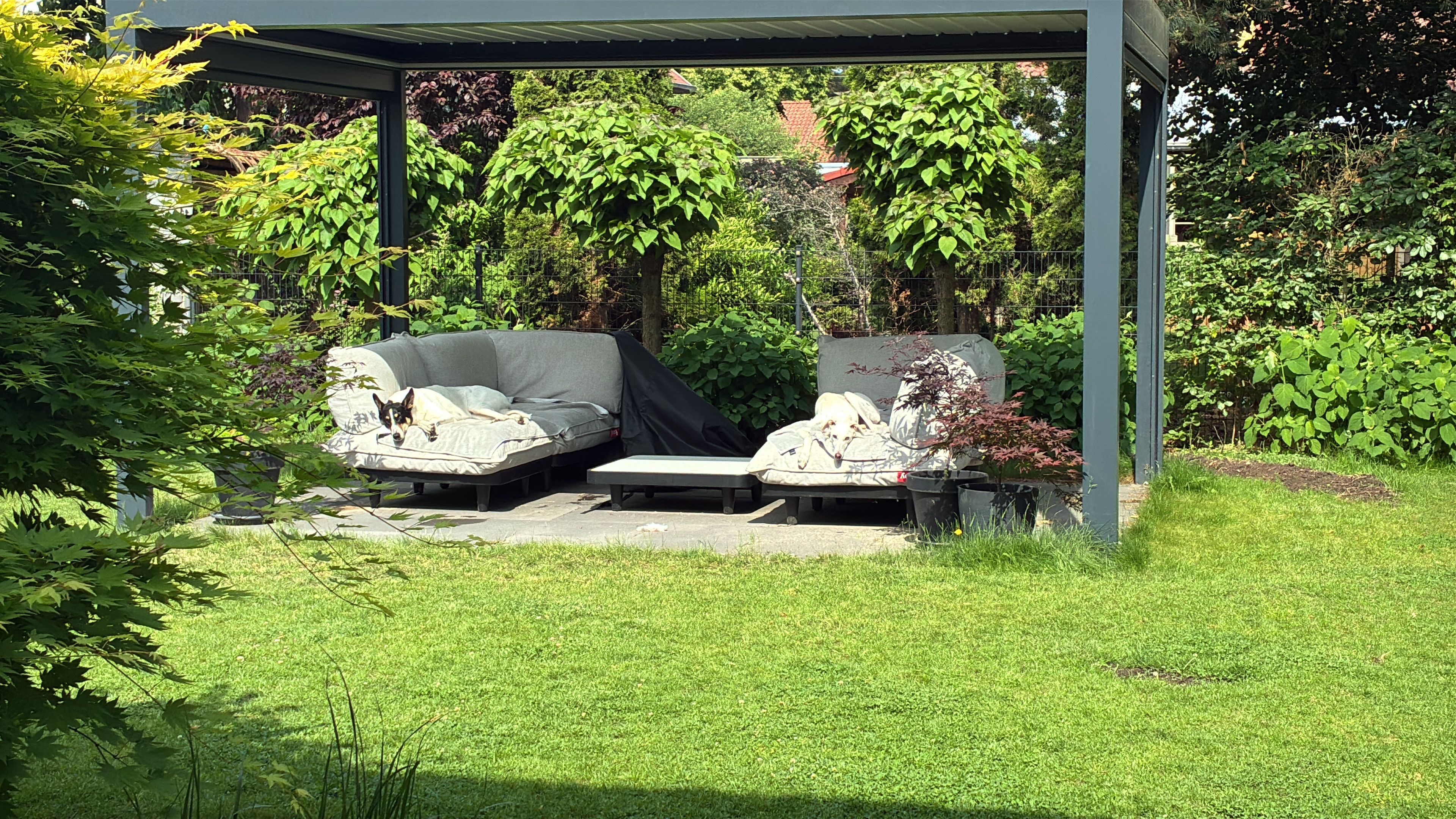 image-14