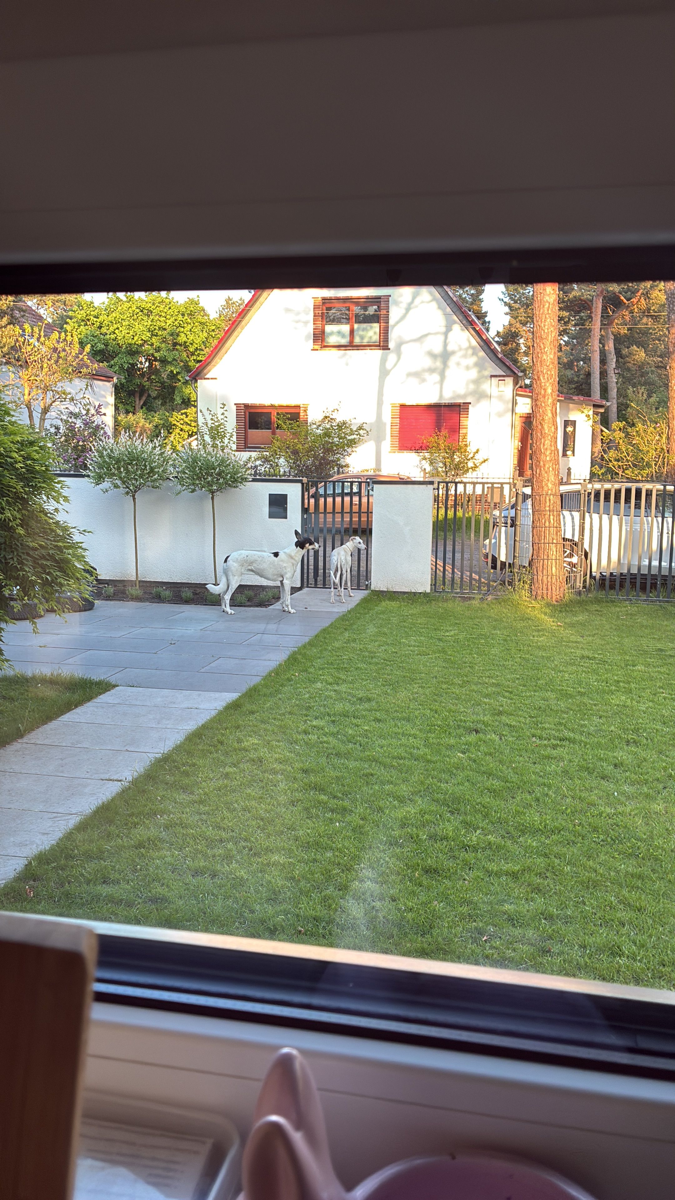 image-11