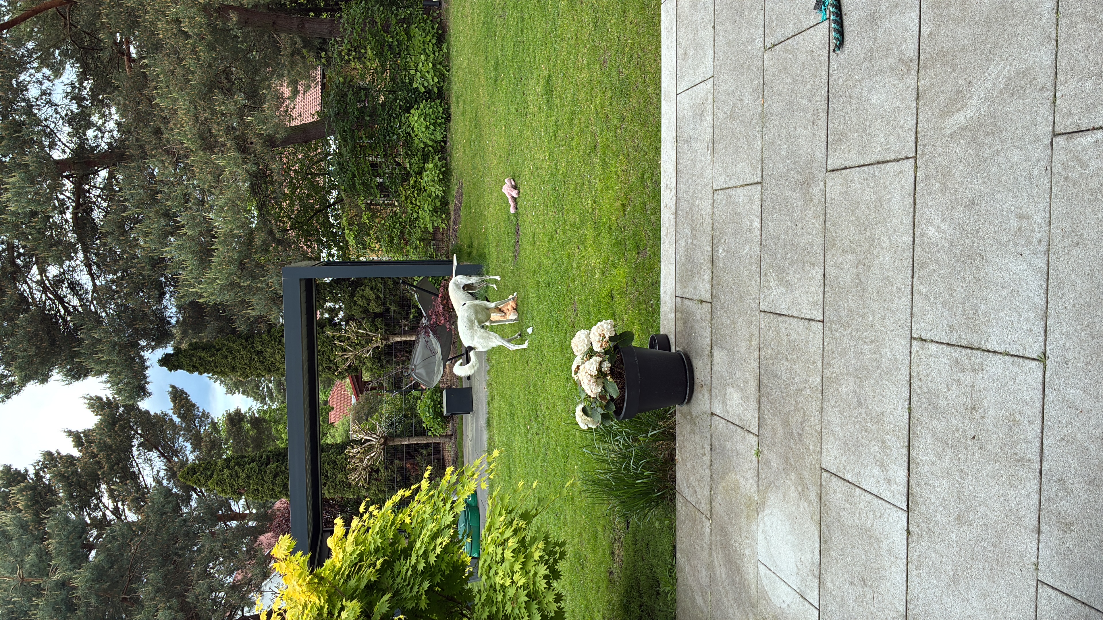 image-9