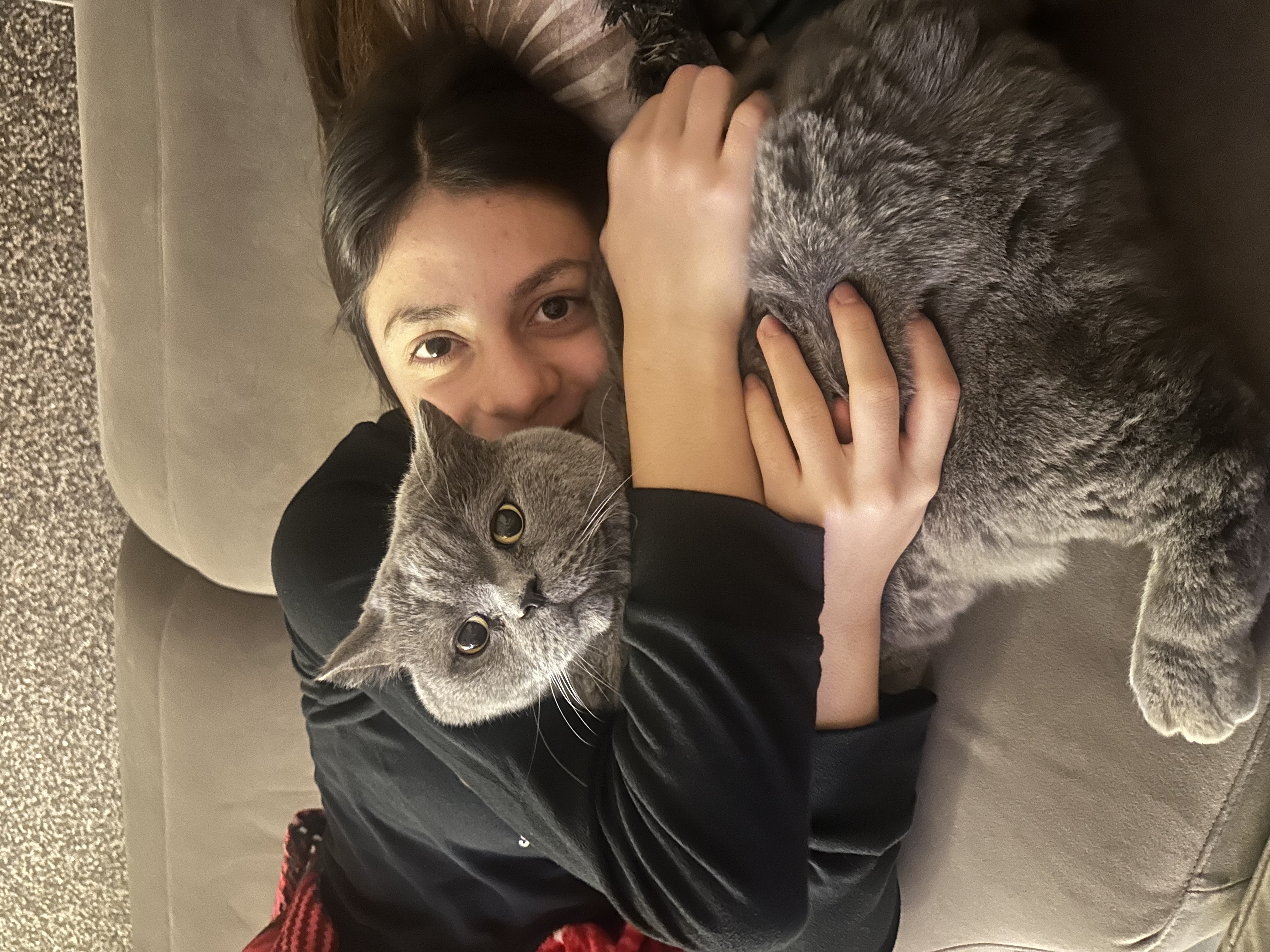image-6