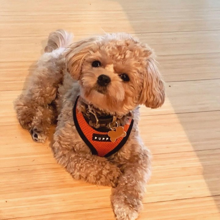 Ella