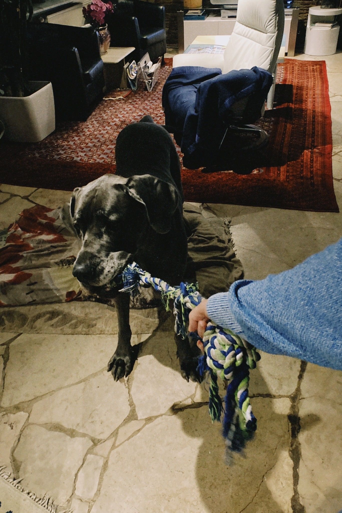 image-5