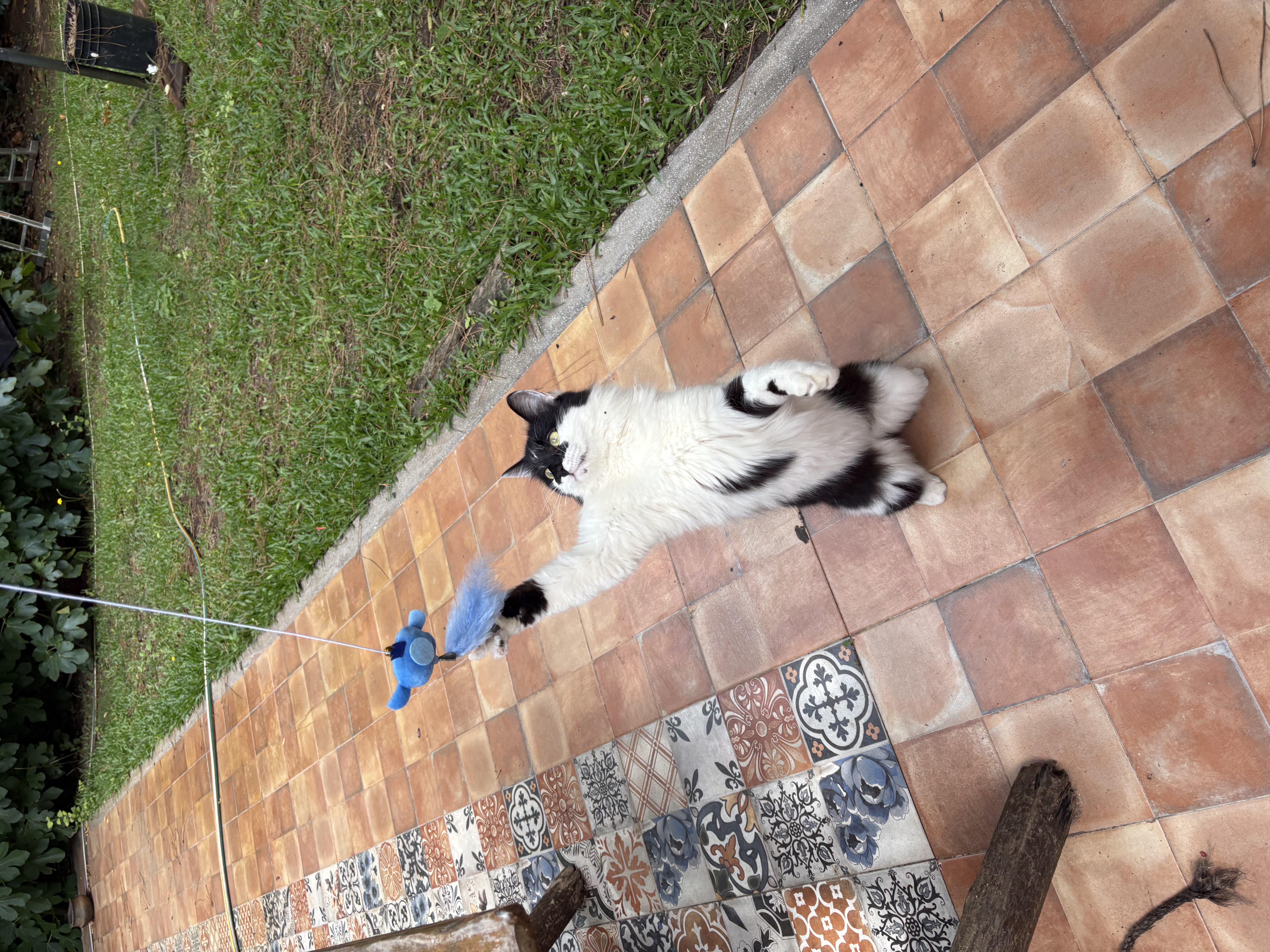 image-6