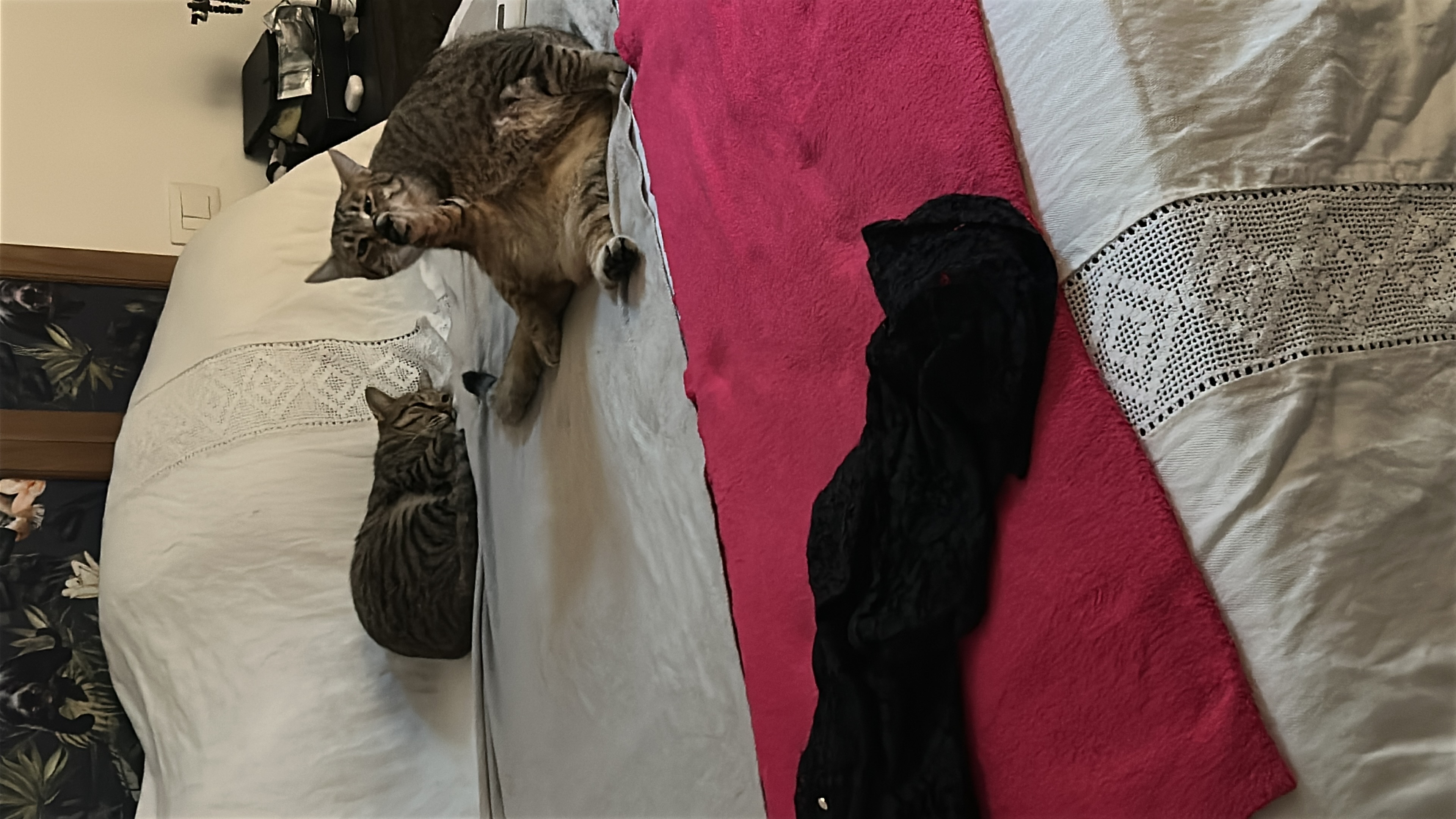 image-8