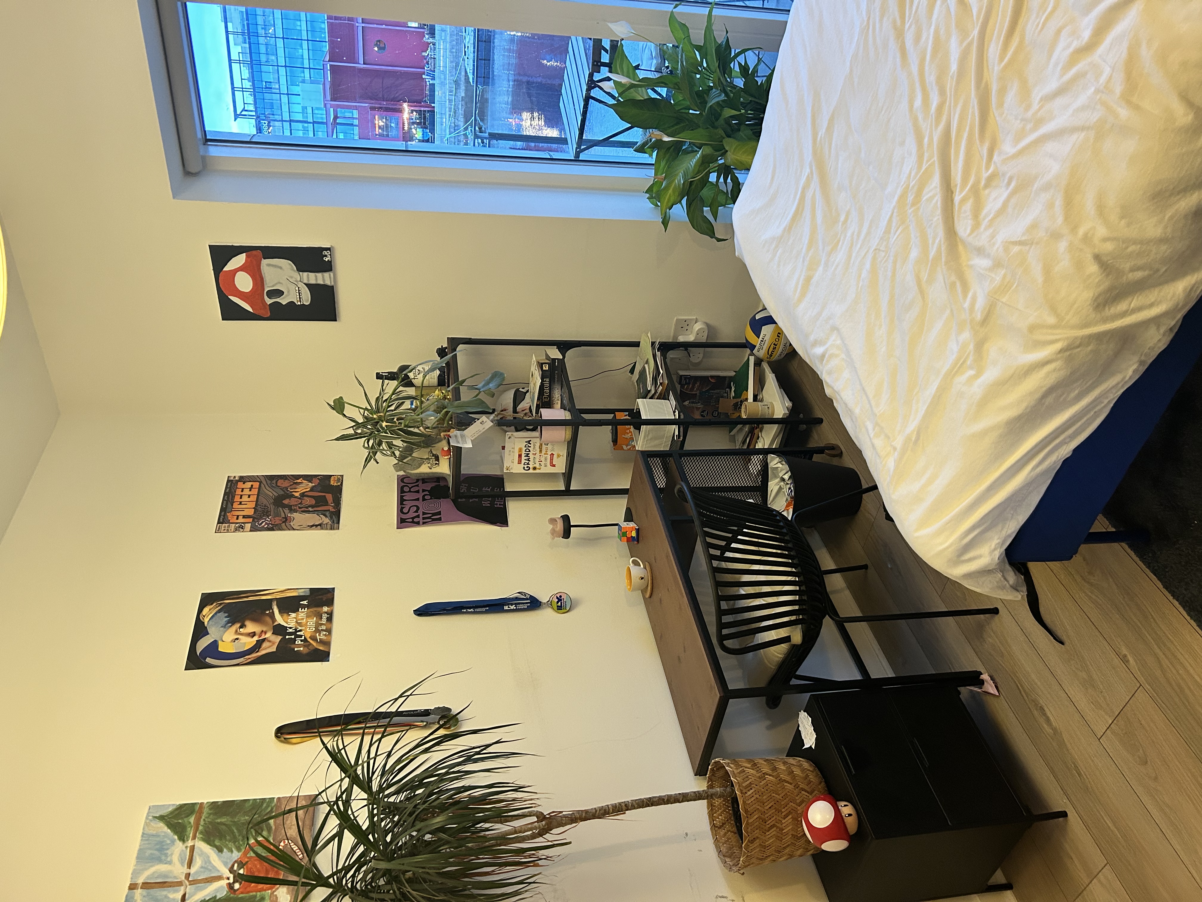 image-14