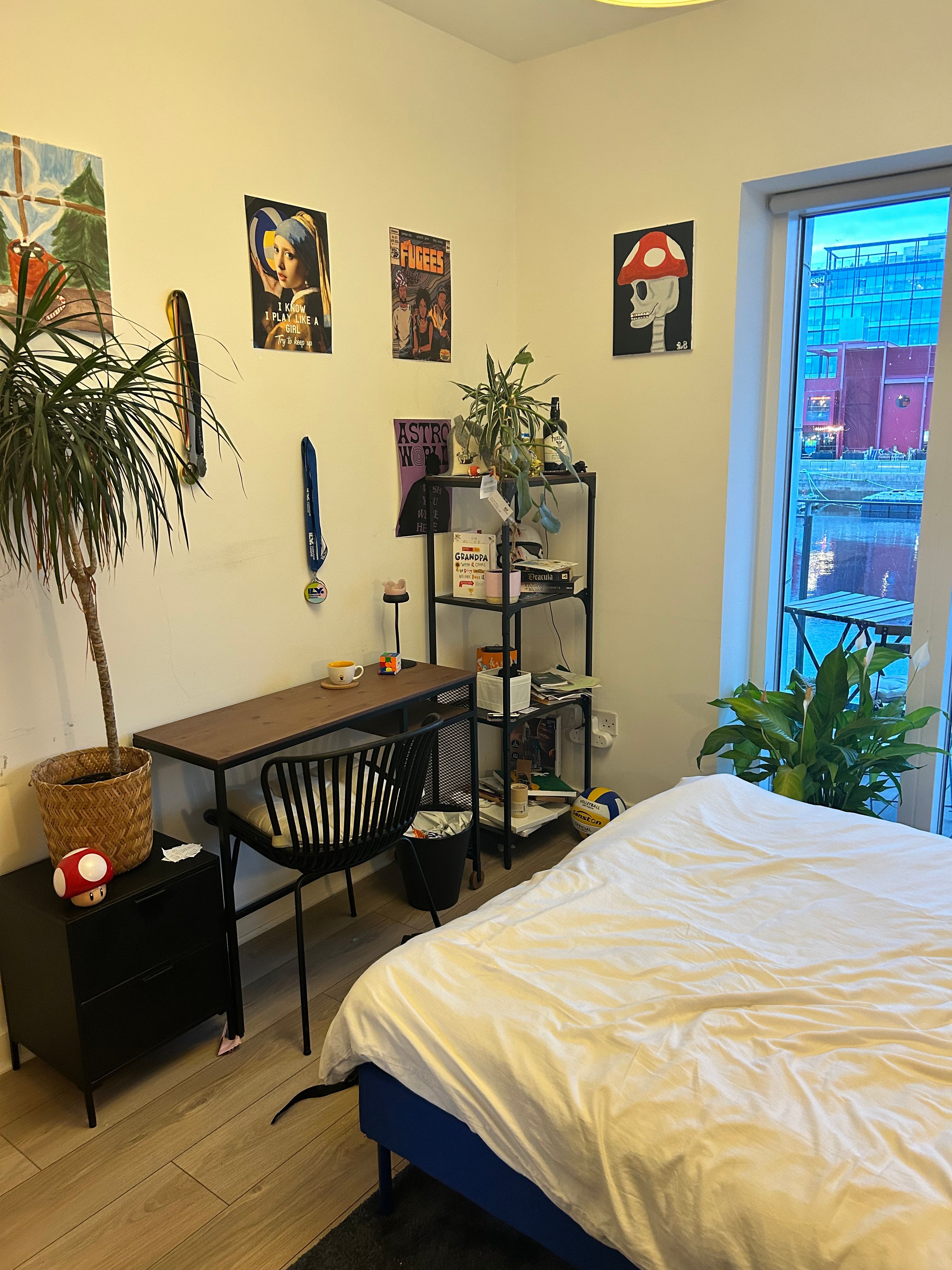 image-14