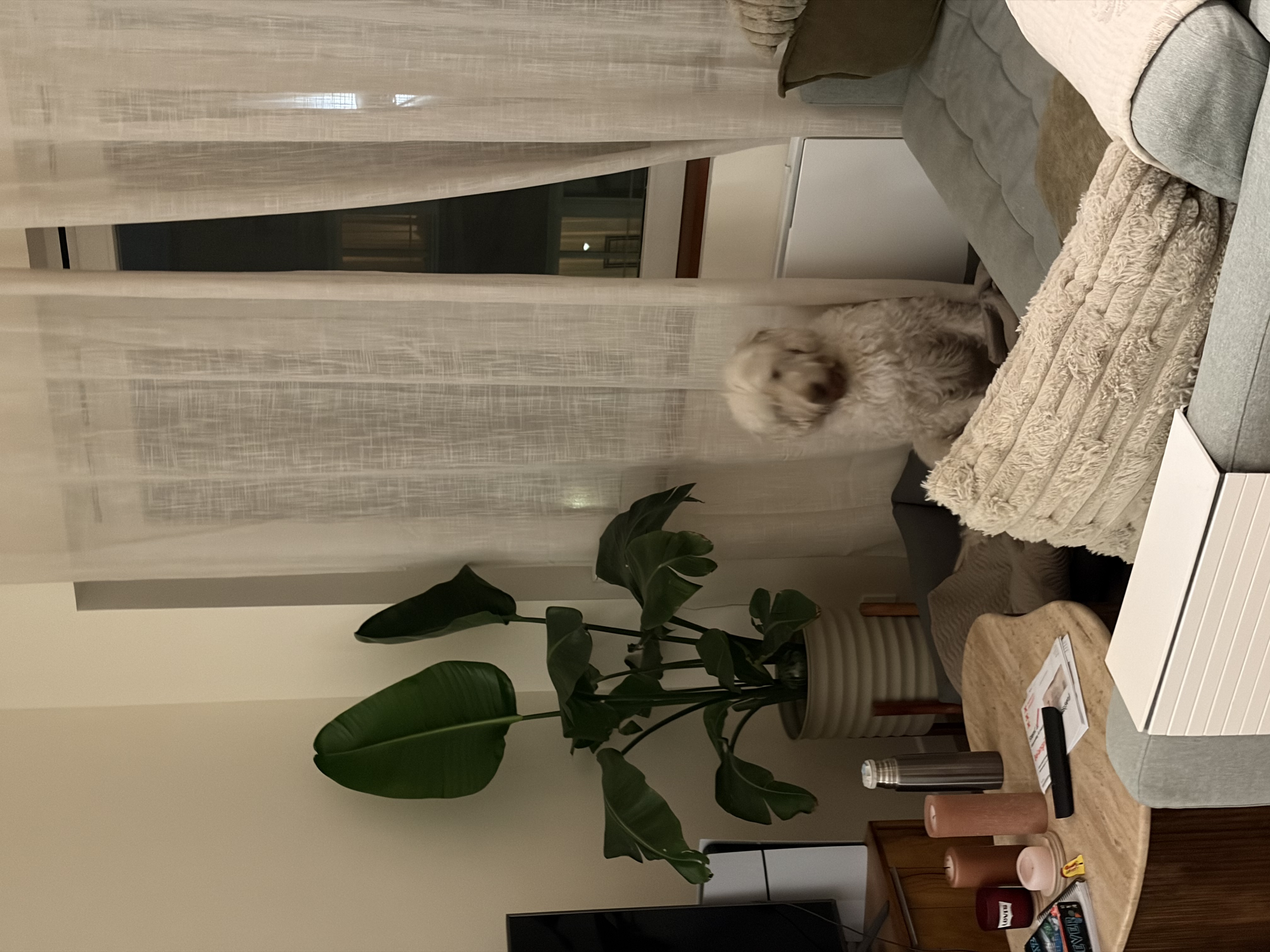 image-14