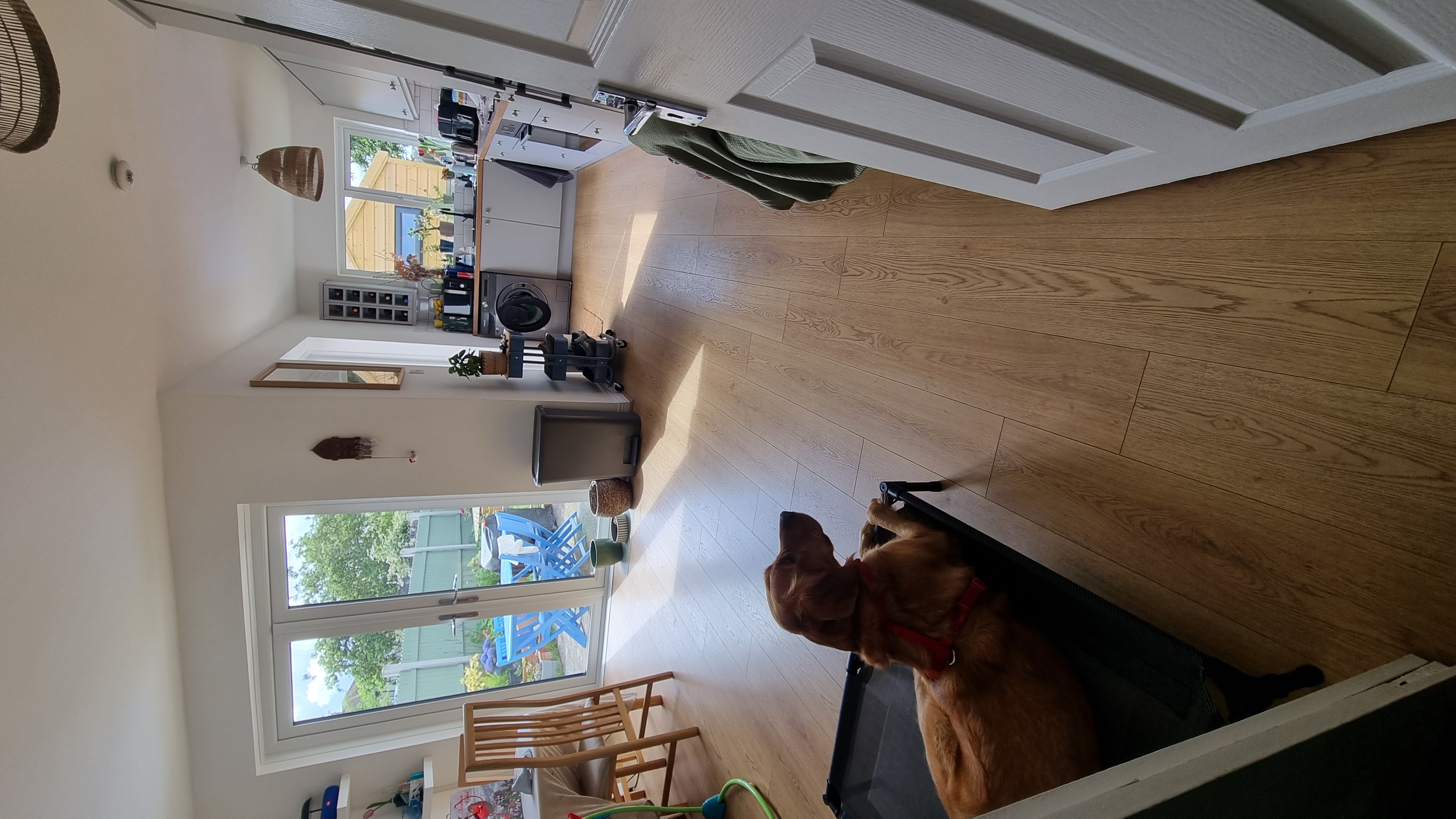image-8