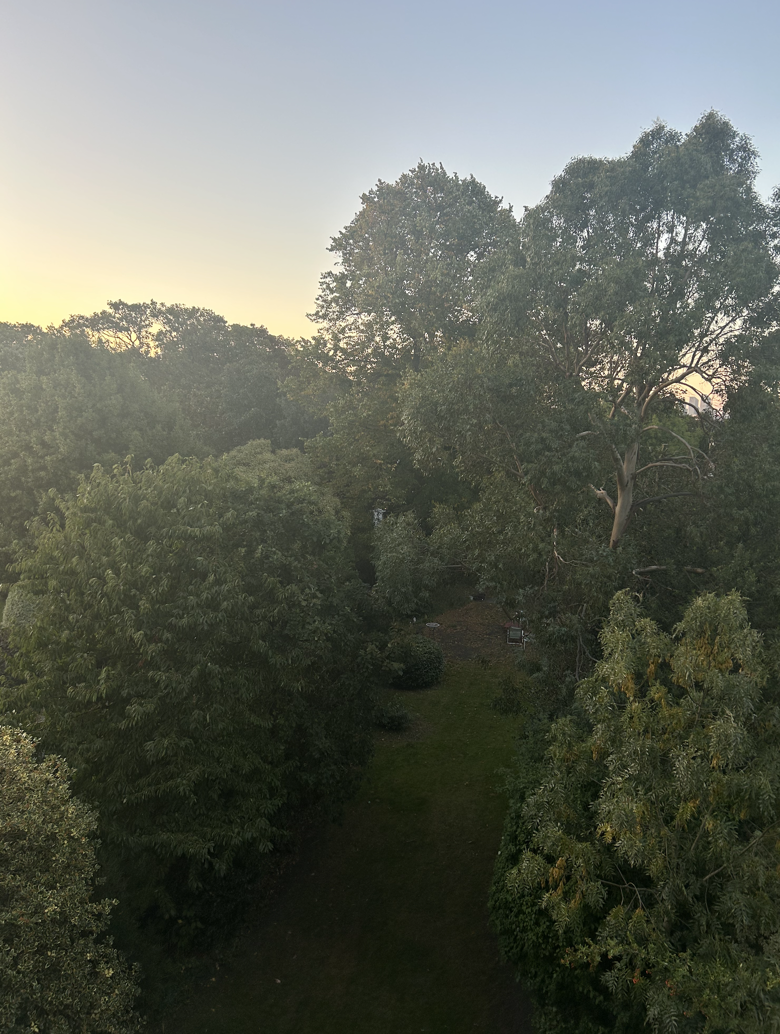 image-20