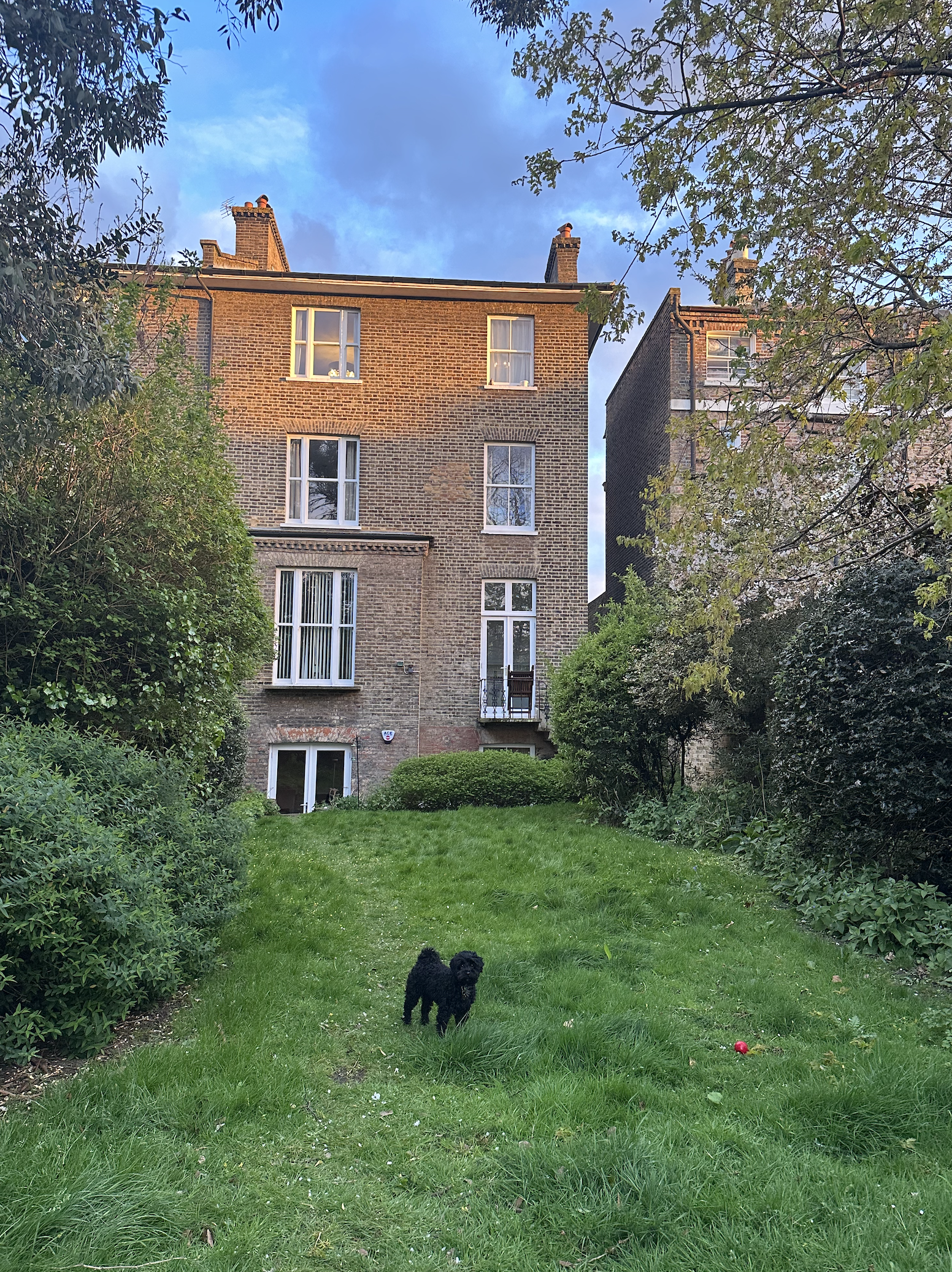 image-19