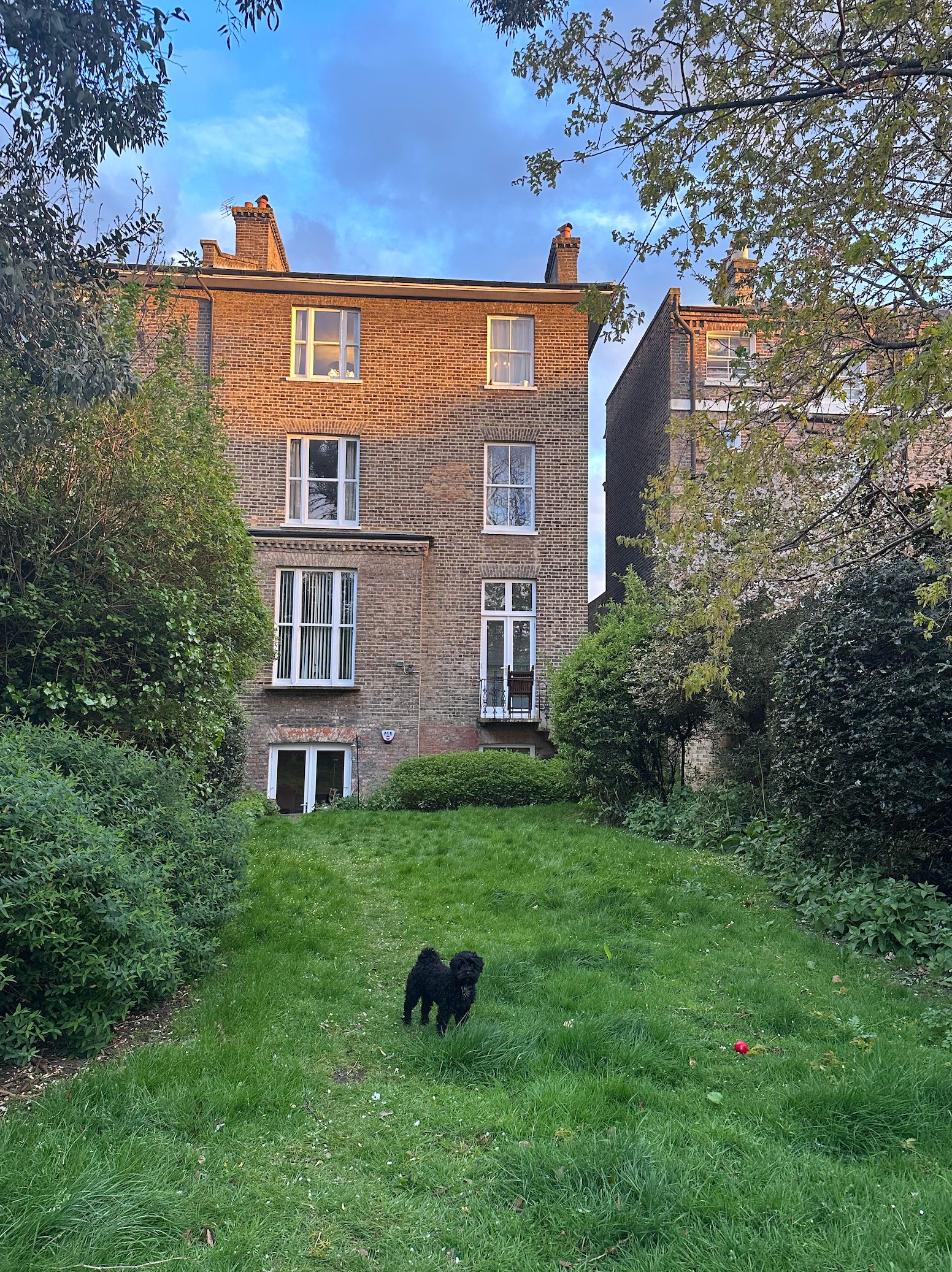 image-19
