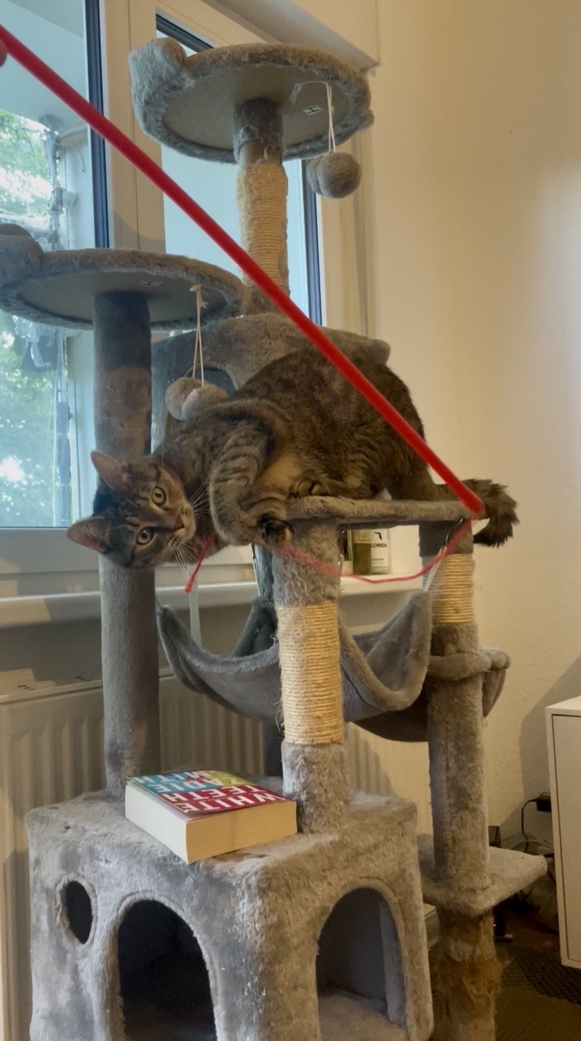 image-18