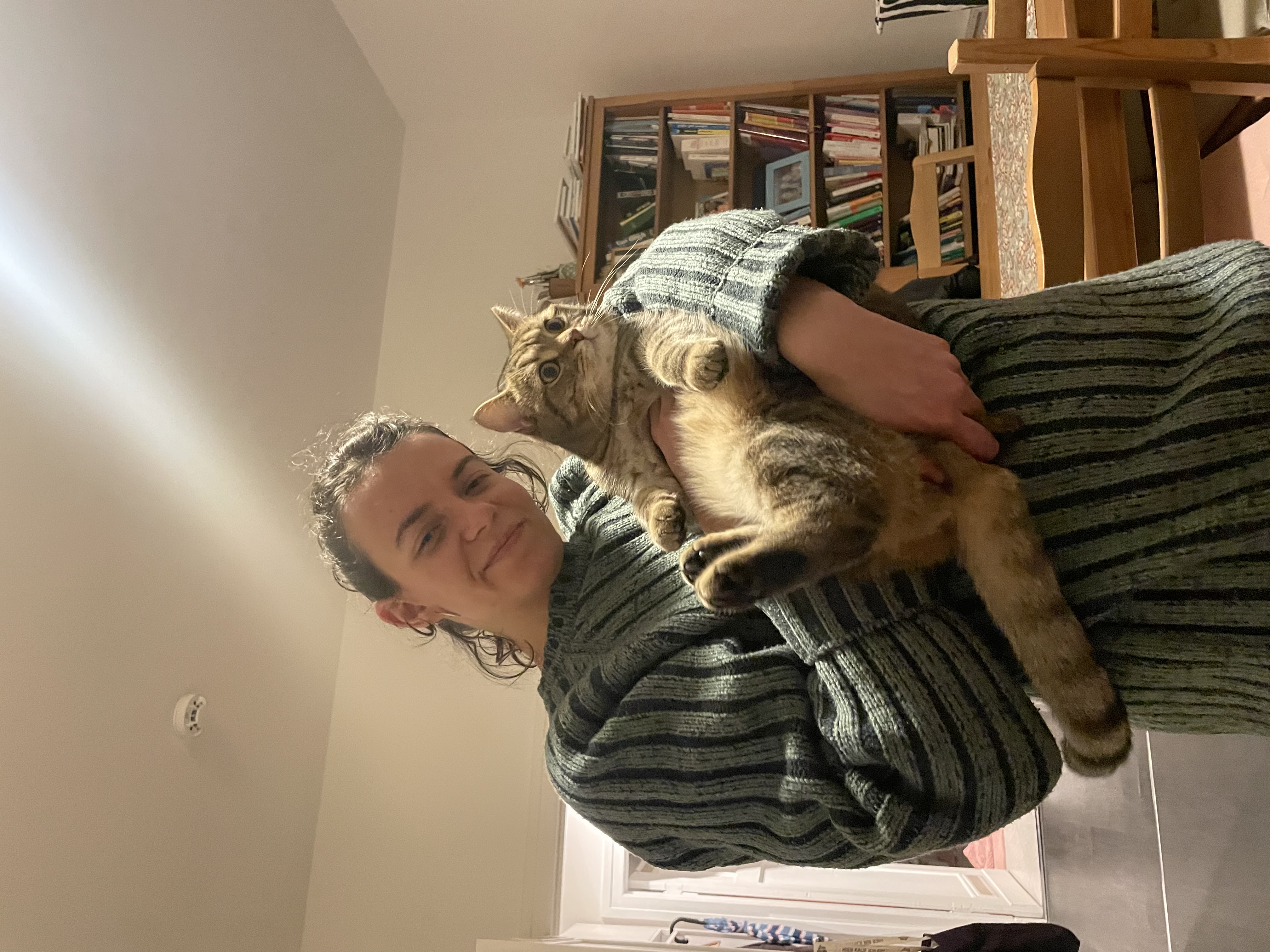 image-6