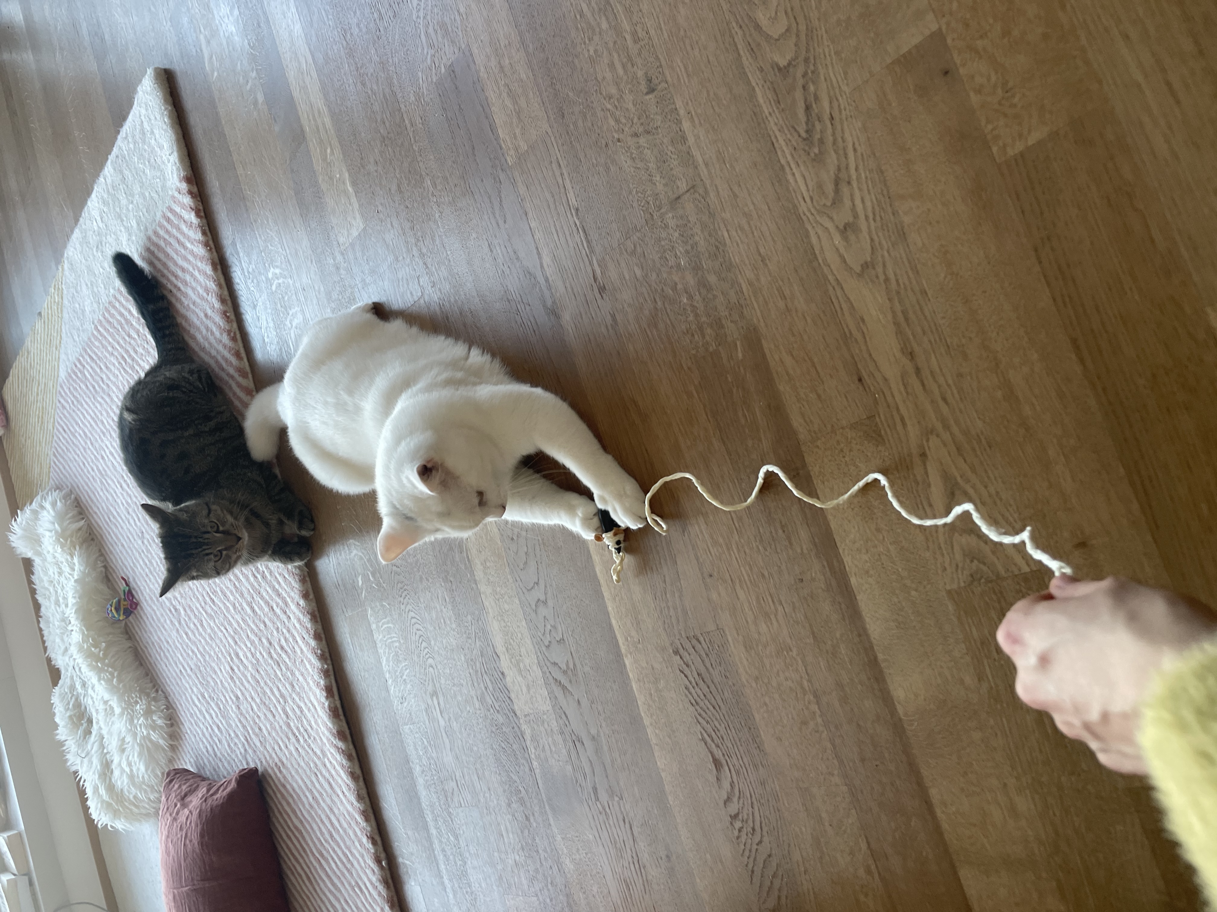 image-9