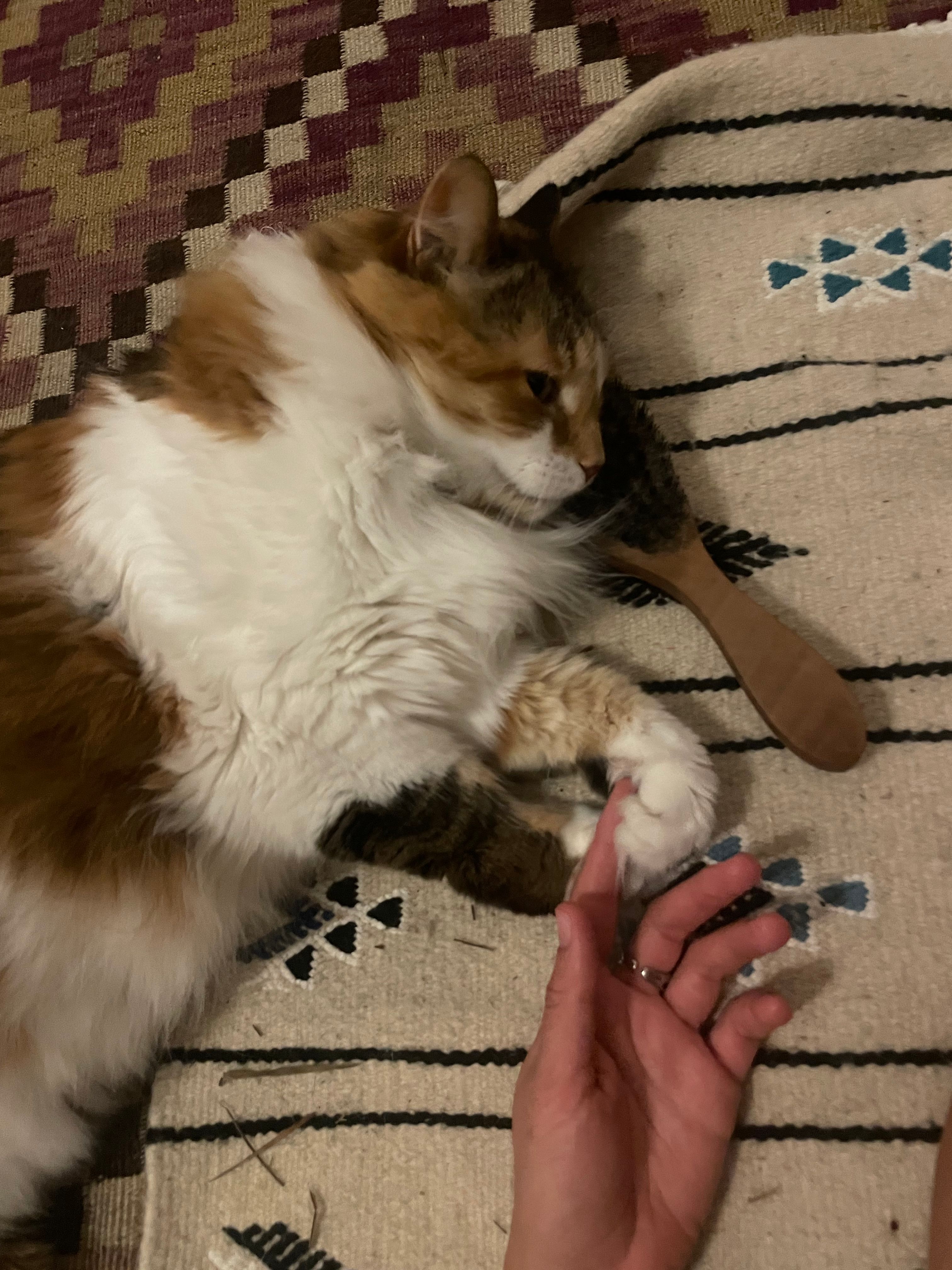 image-9
