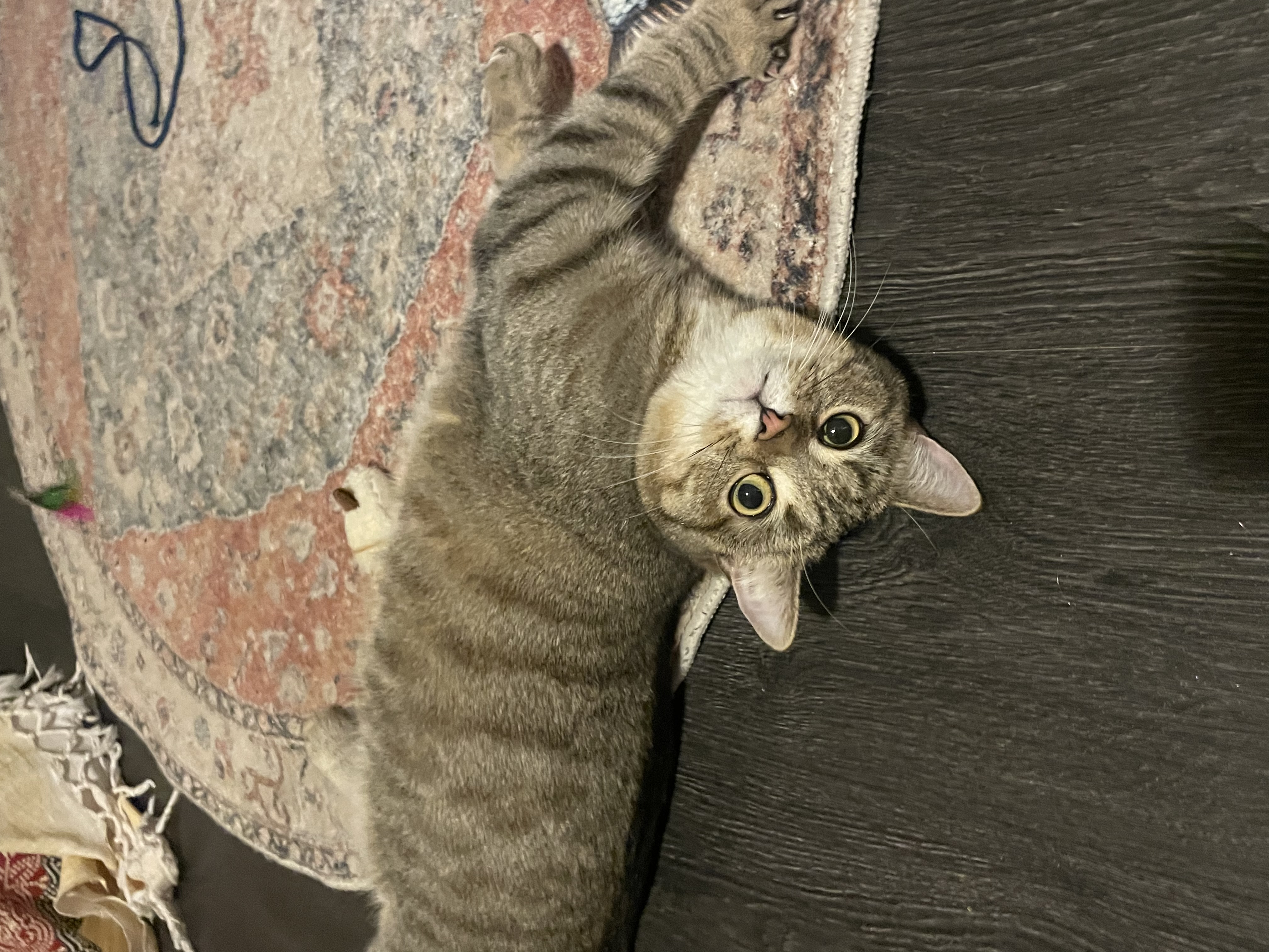 image-7