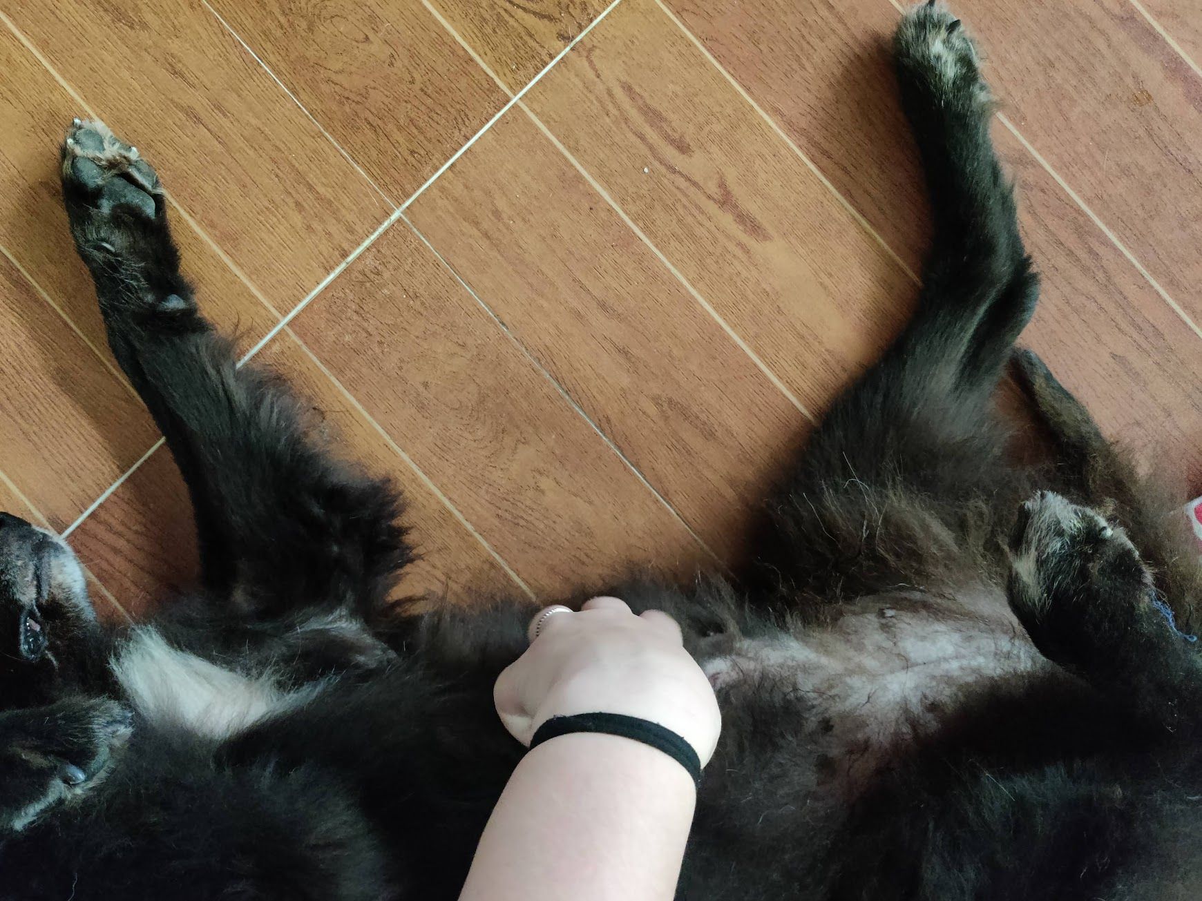 image-7