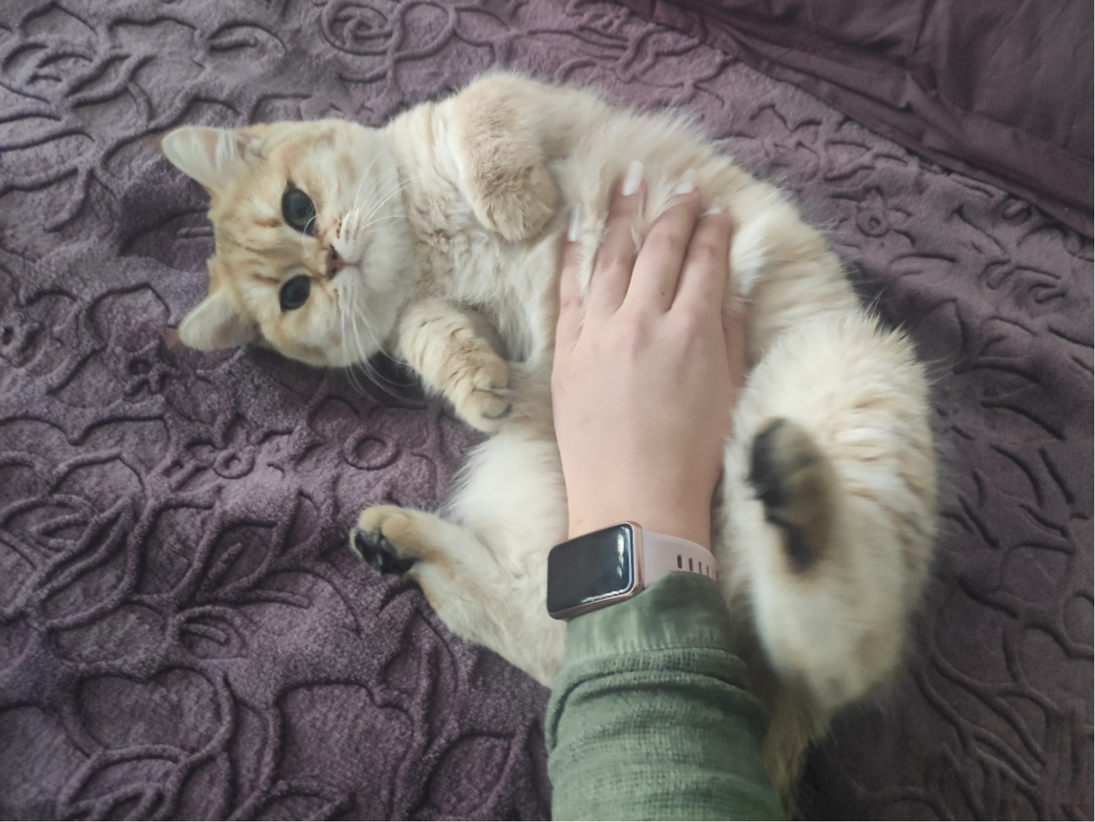 image-7
