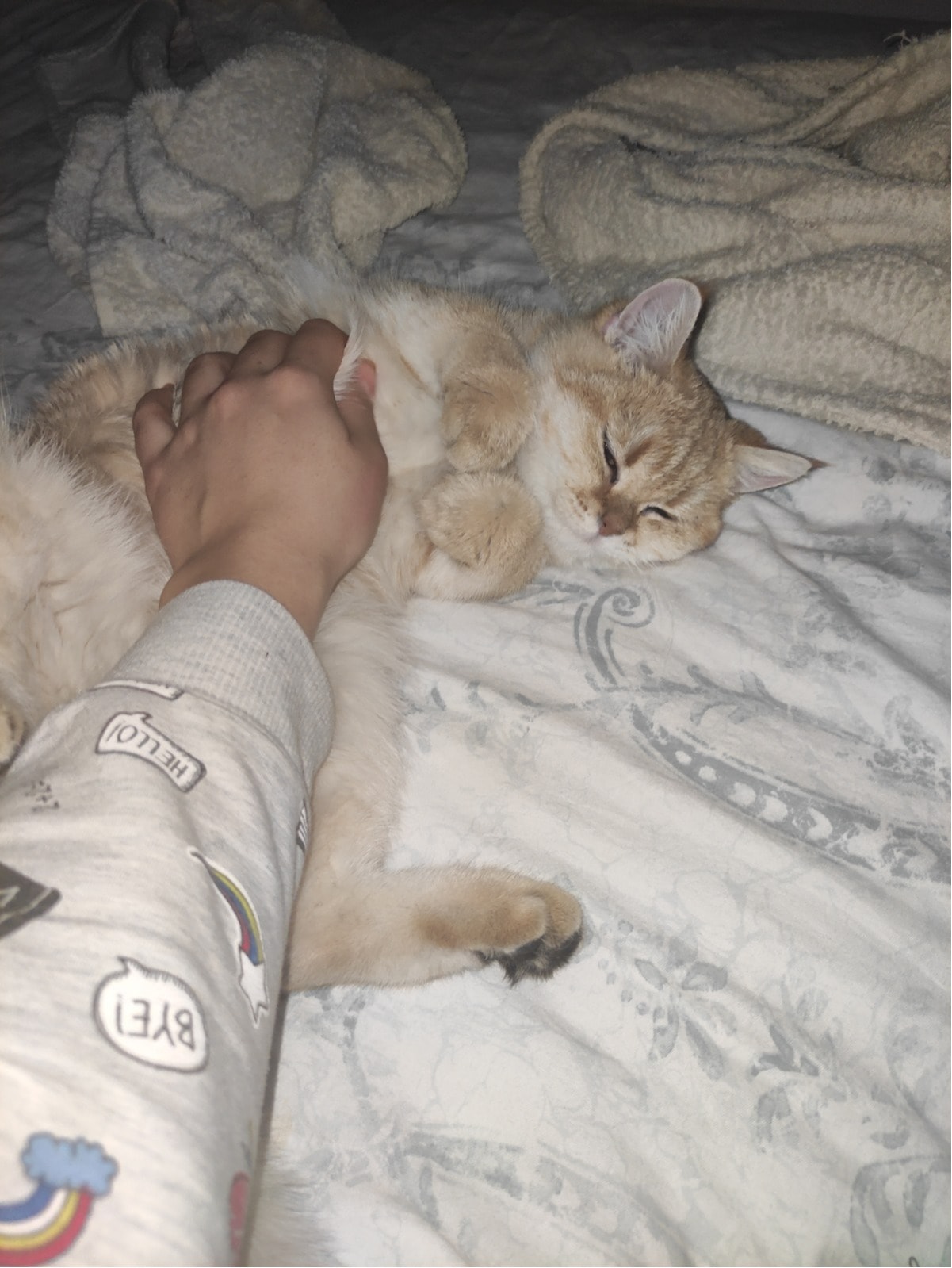 image-8