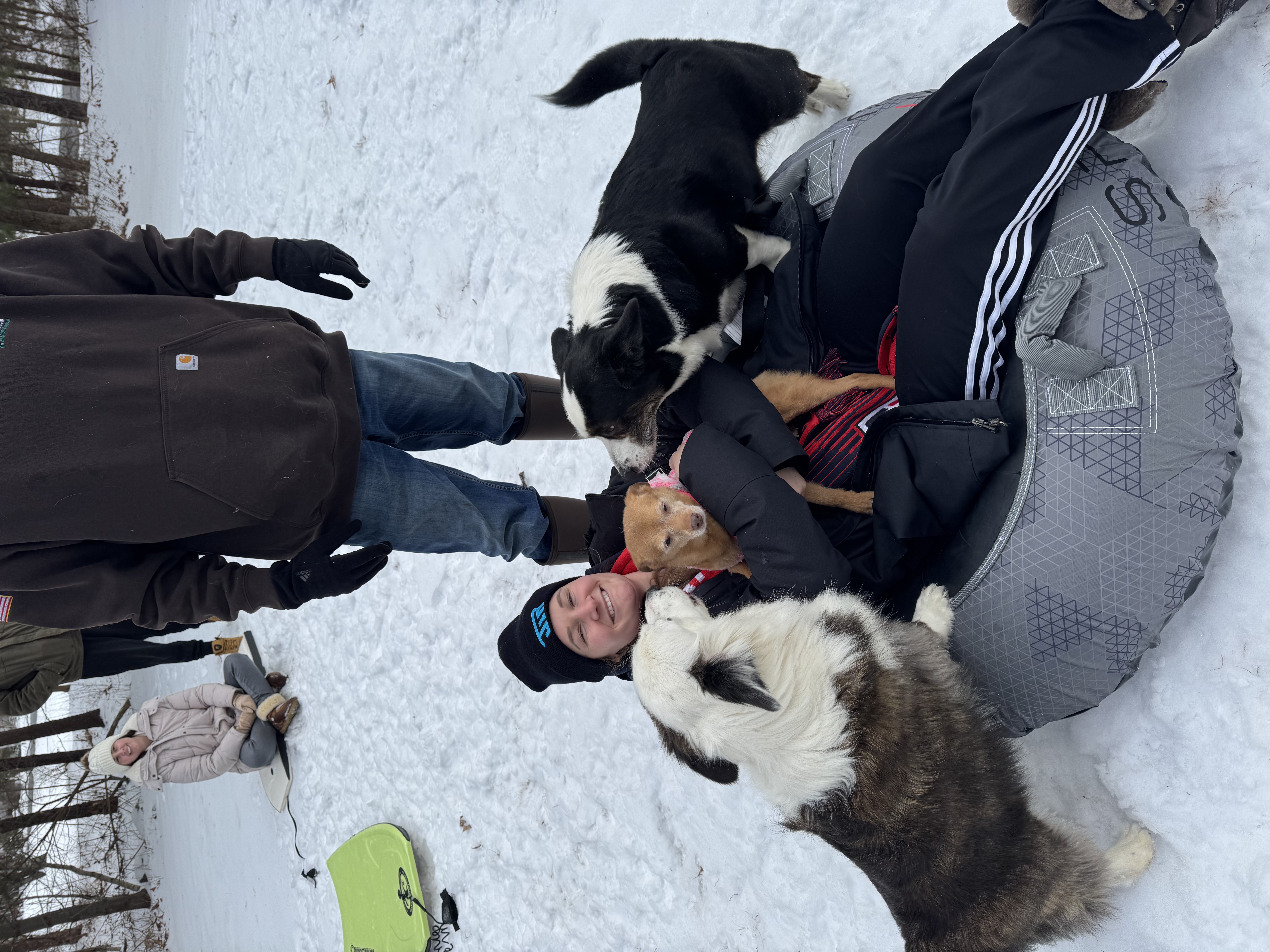 image-7