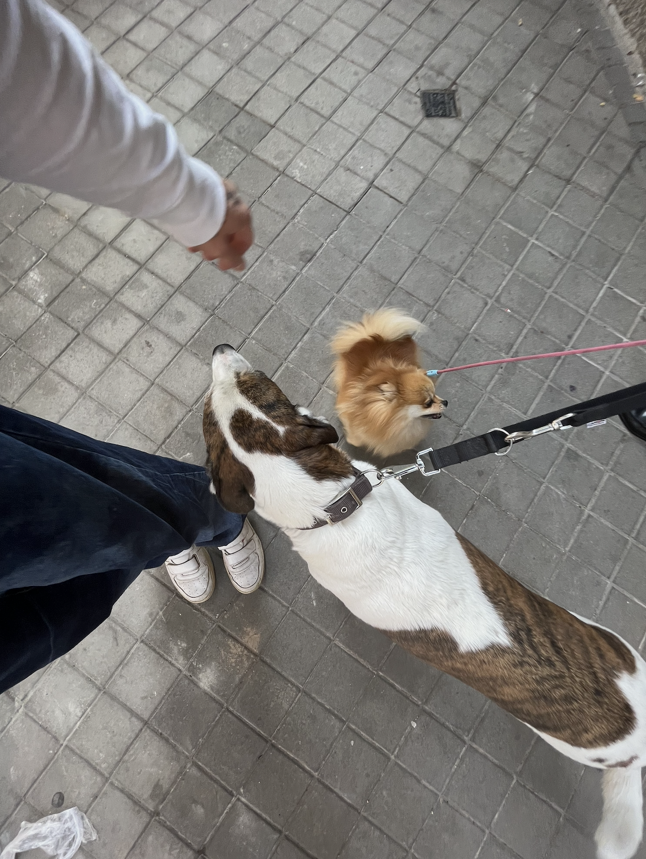 image-10