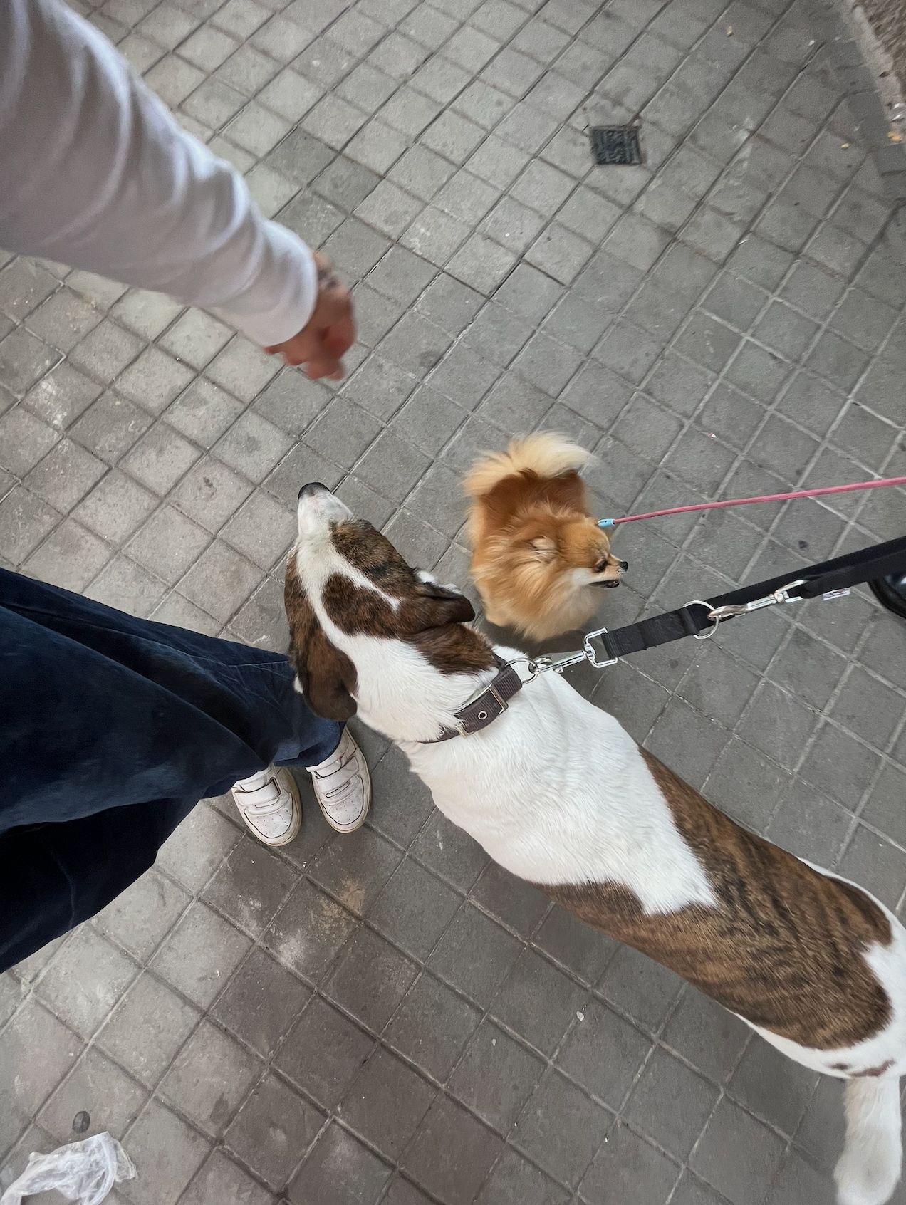 image-10