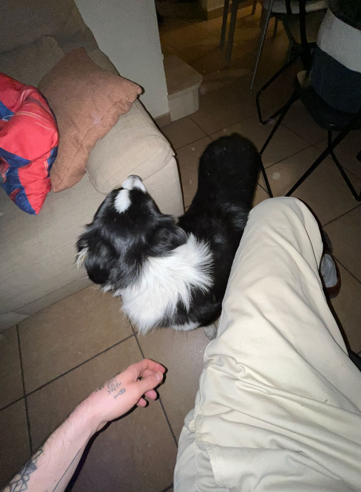 image-9