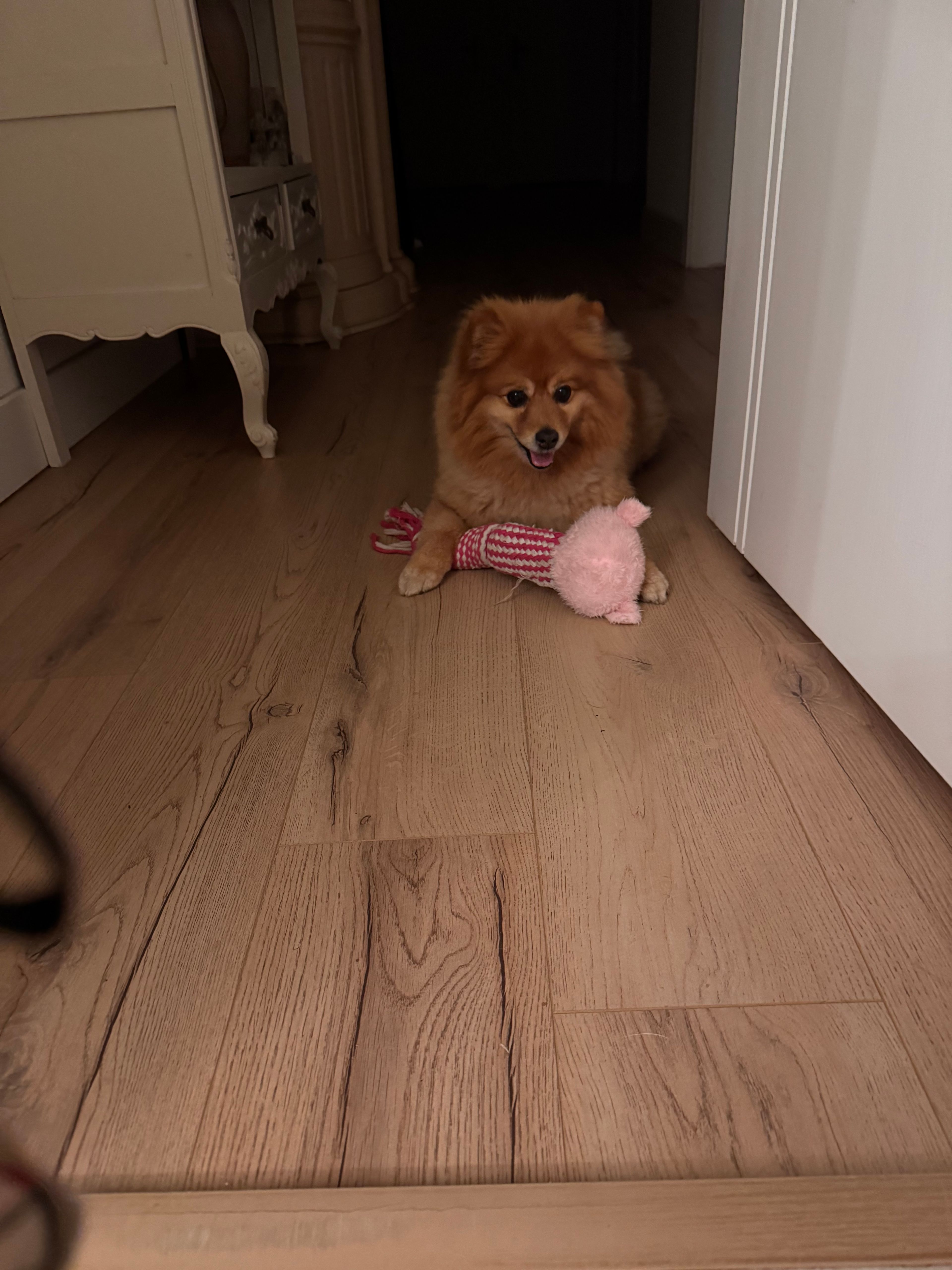 image-12