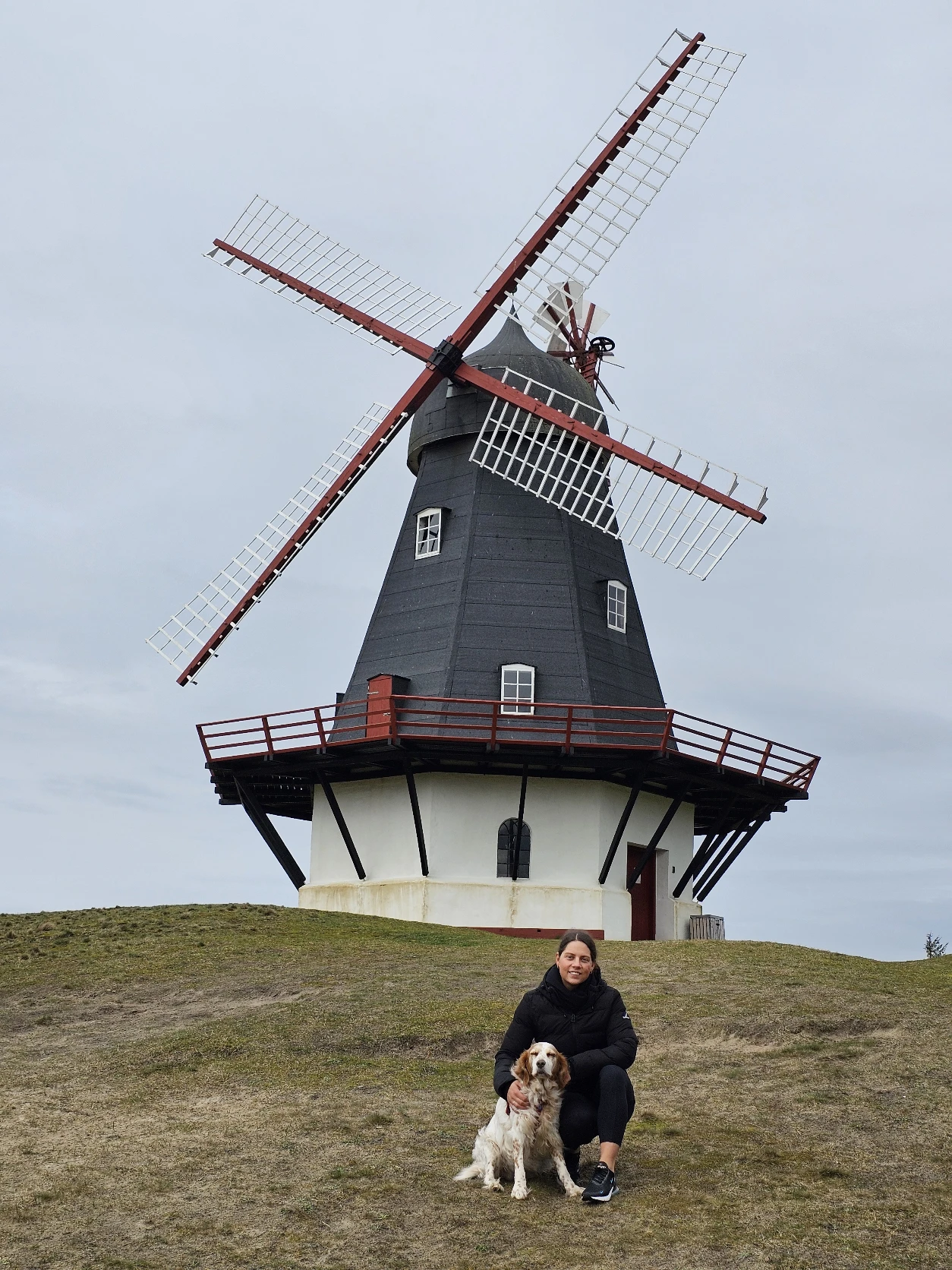 image-12