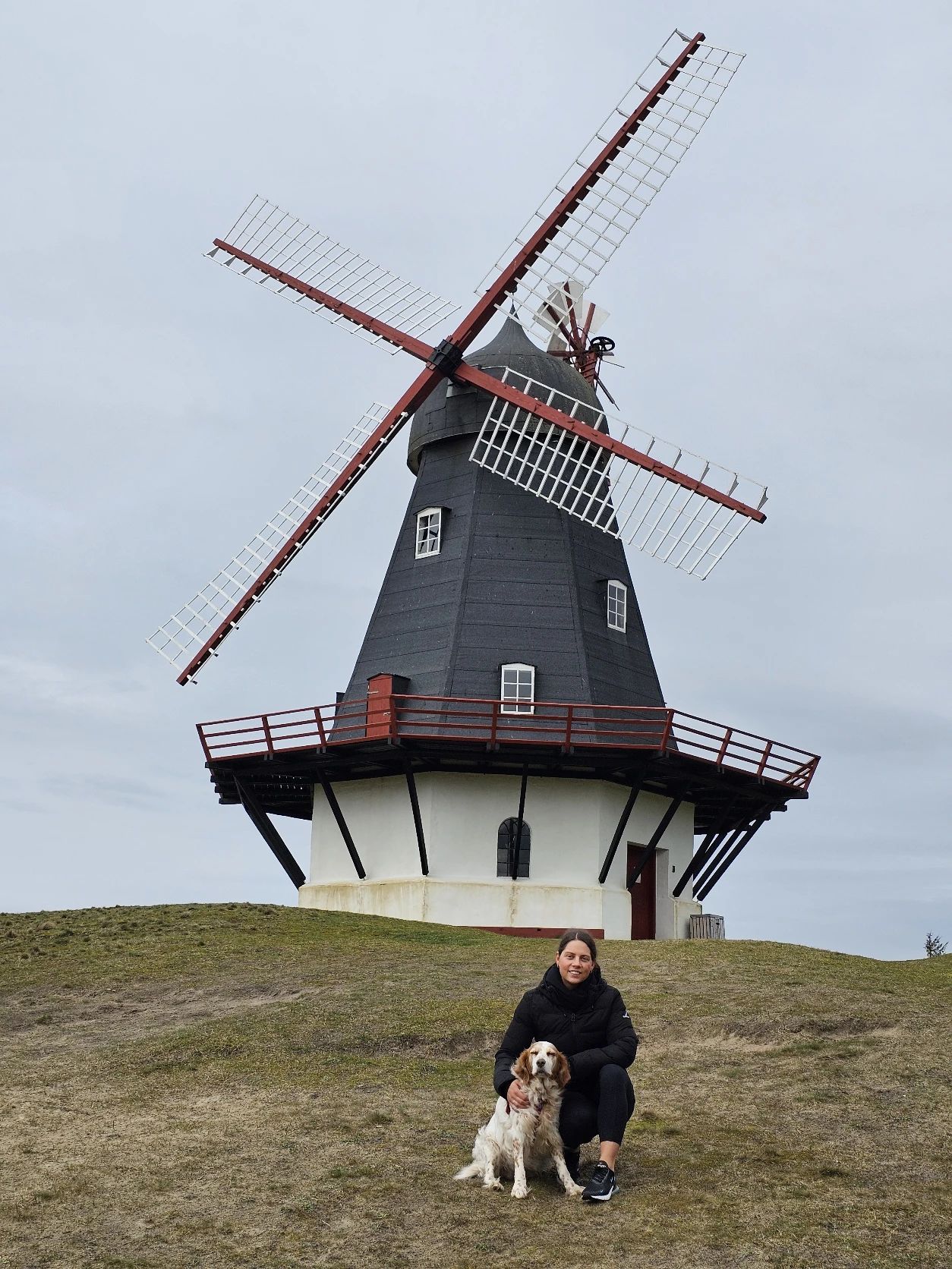 image-12