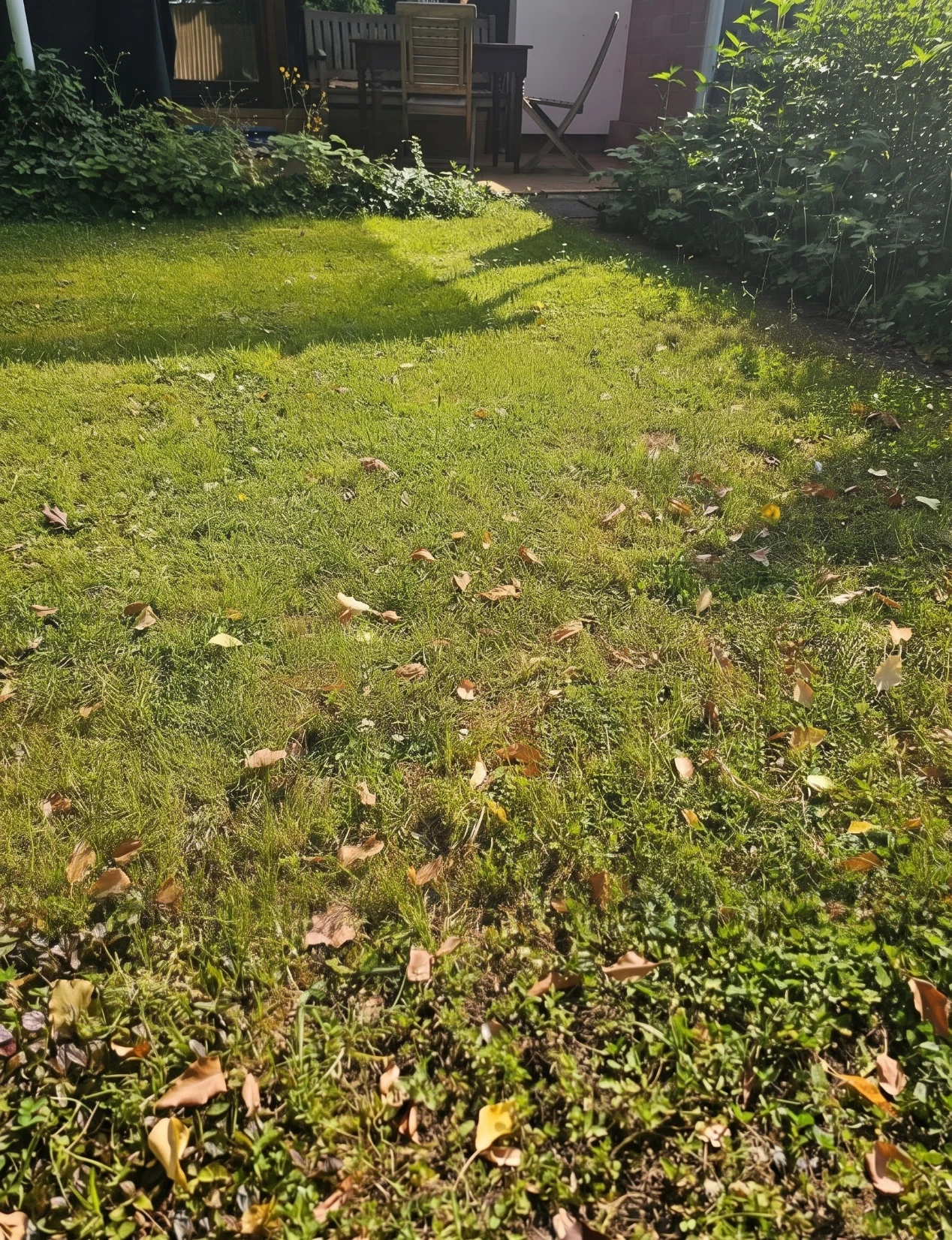 image-14