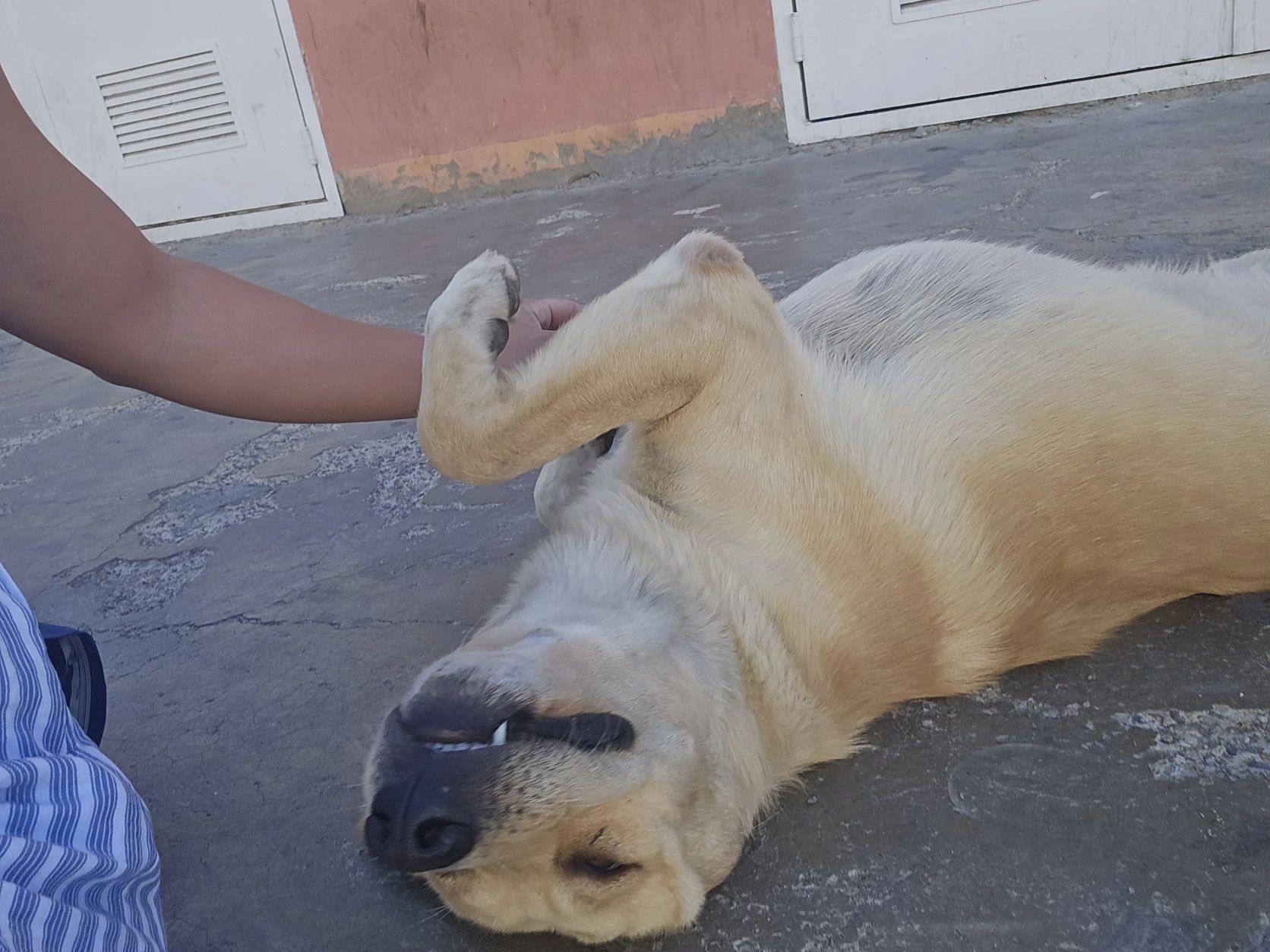 image-9