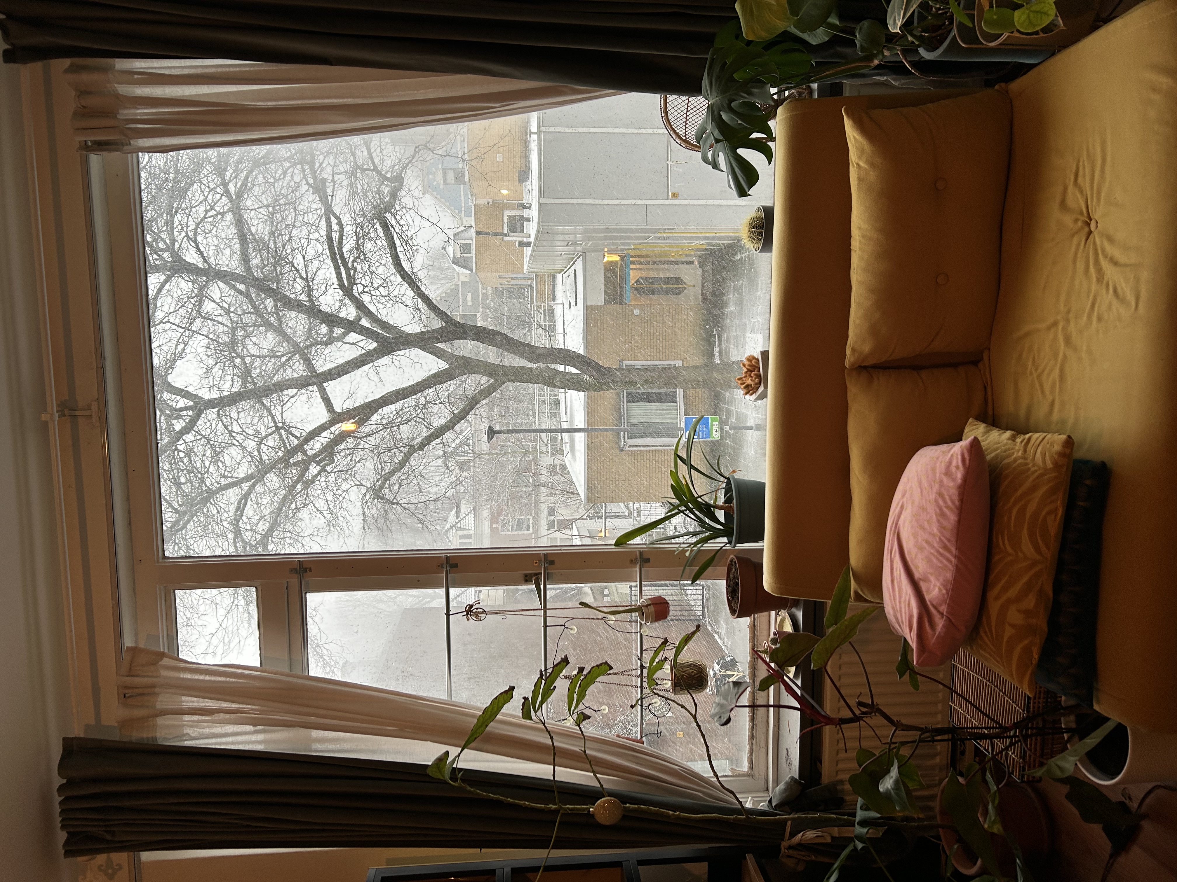 image-17