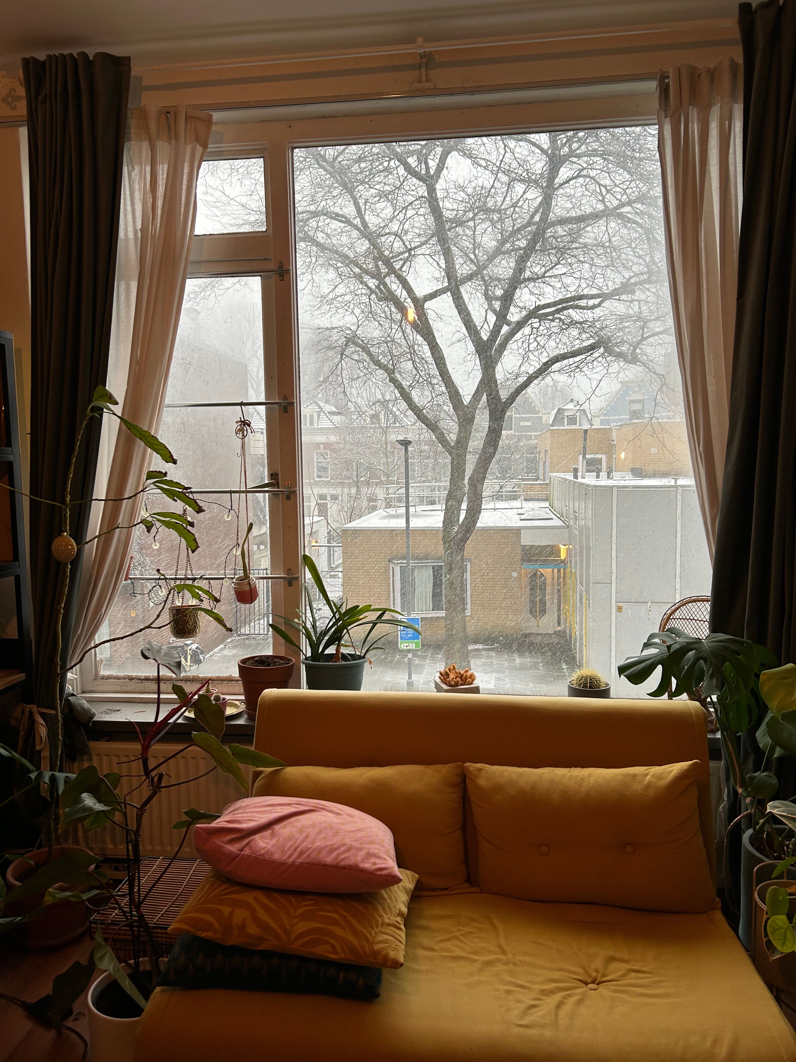 image-17
