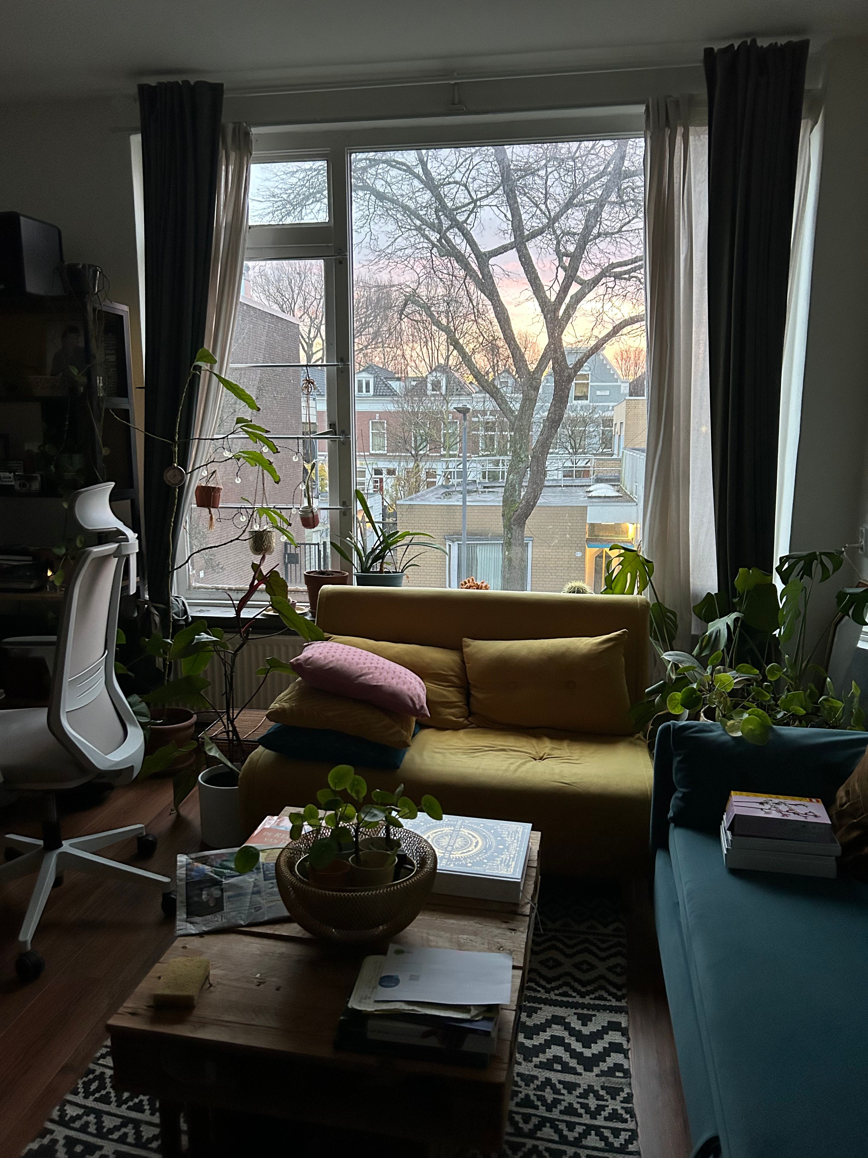 image-18