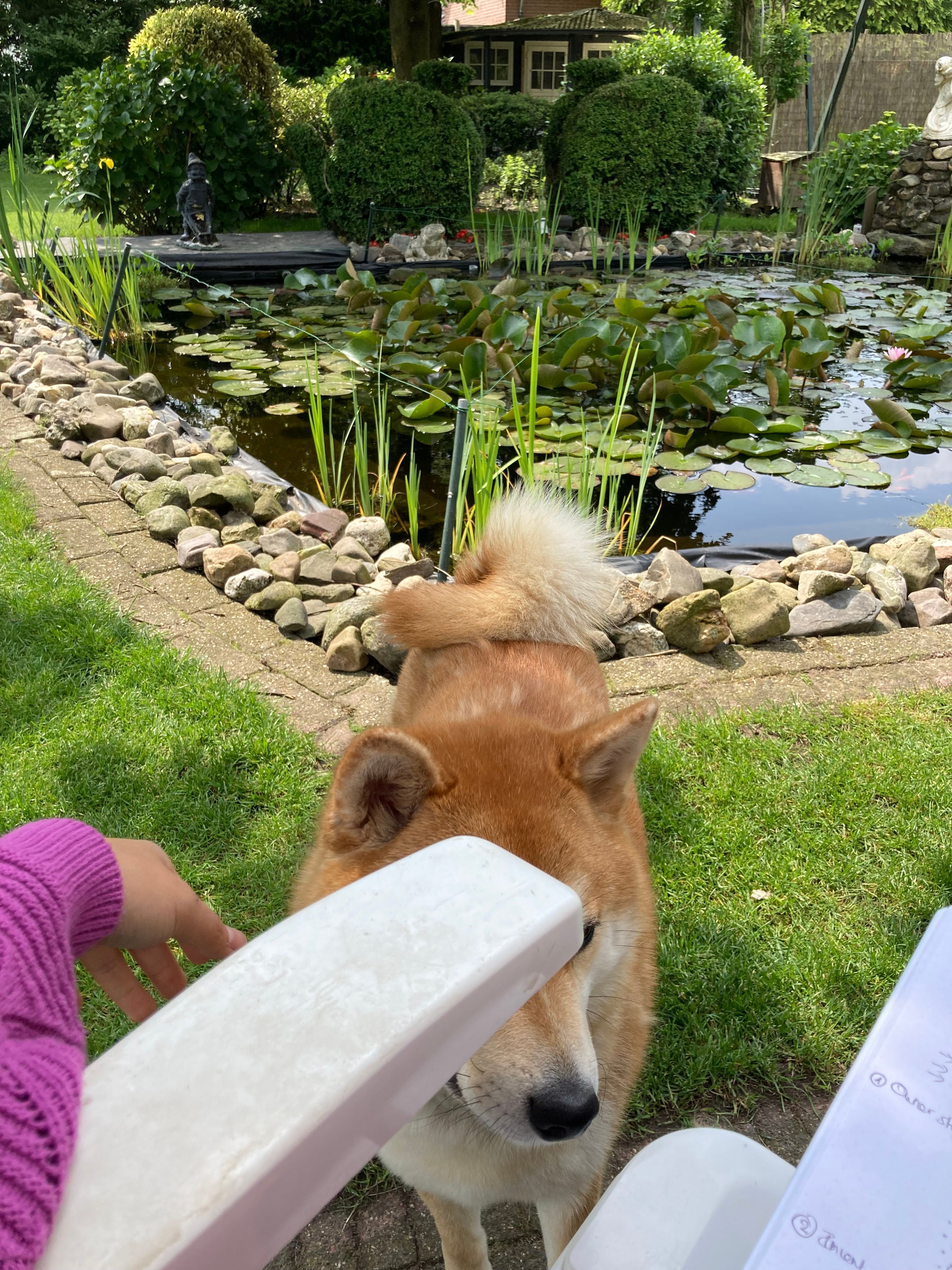 image-7