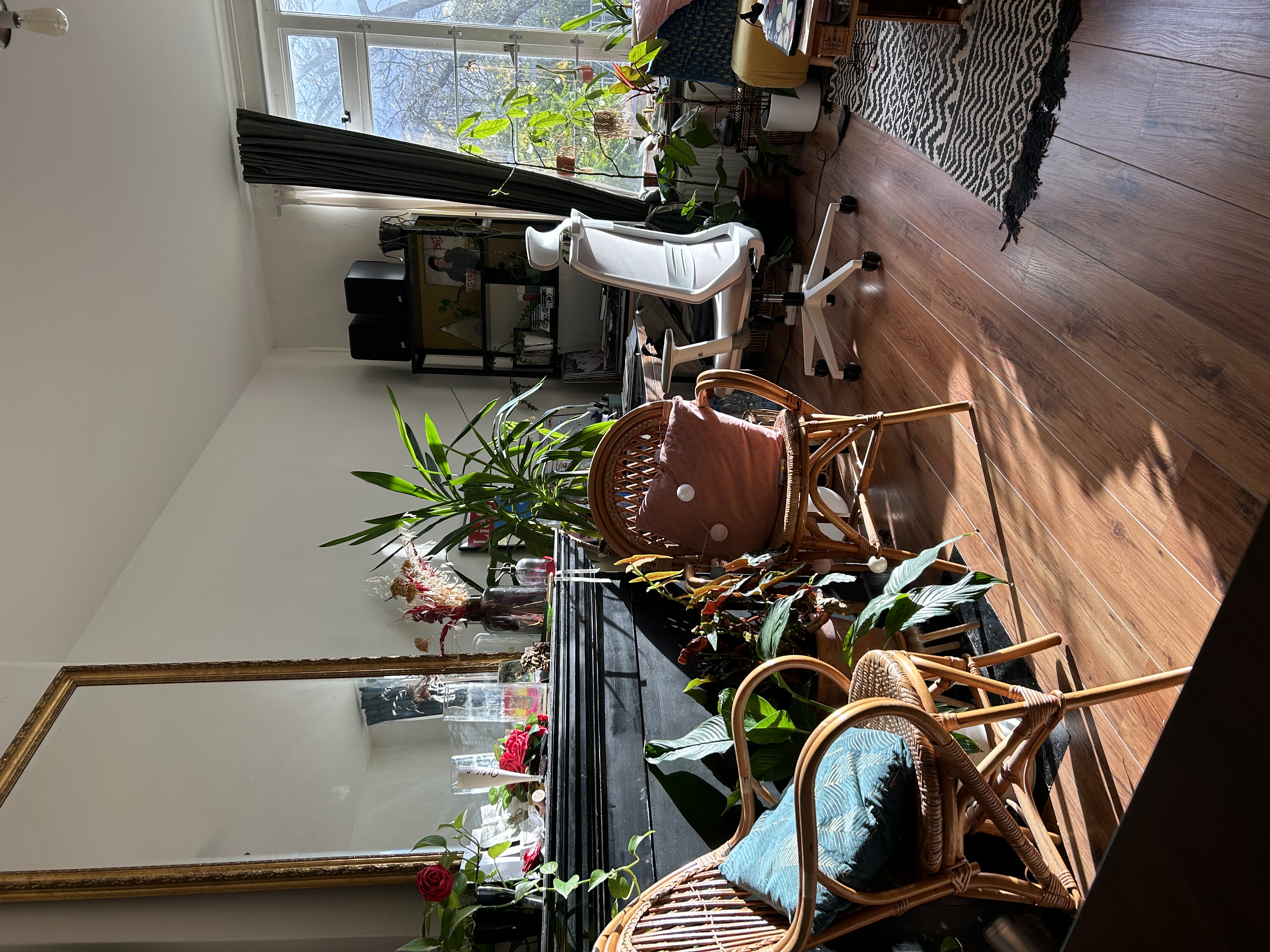 image-19