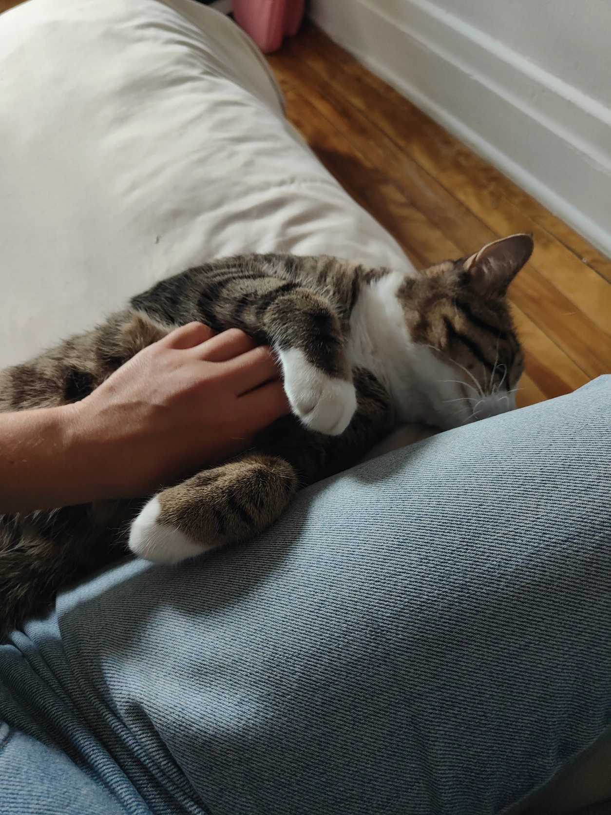 image-8