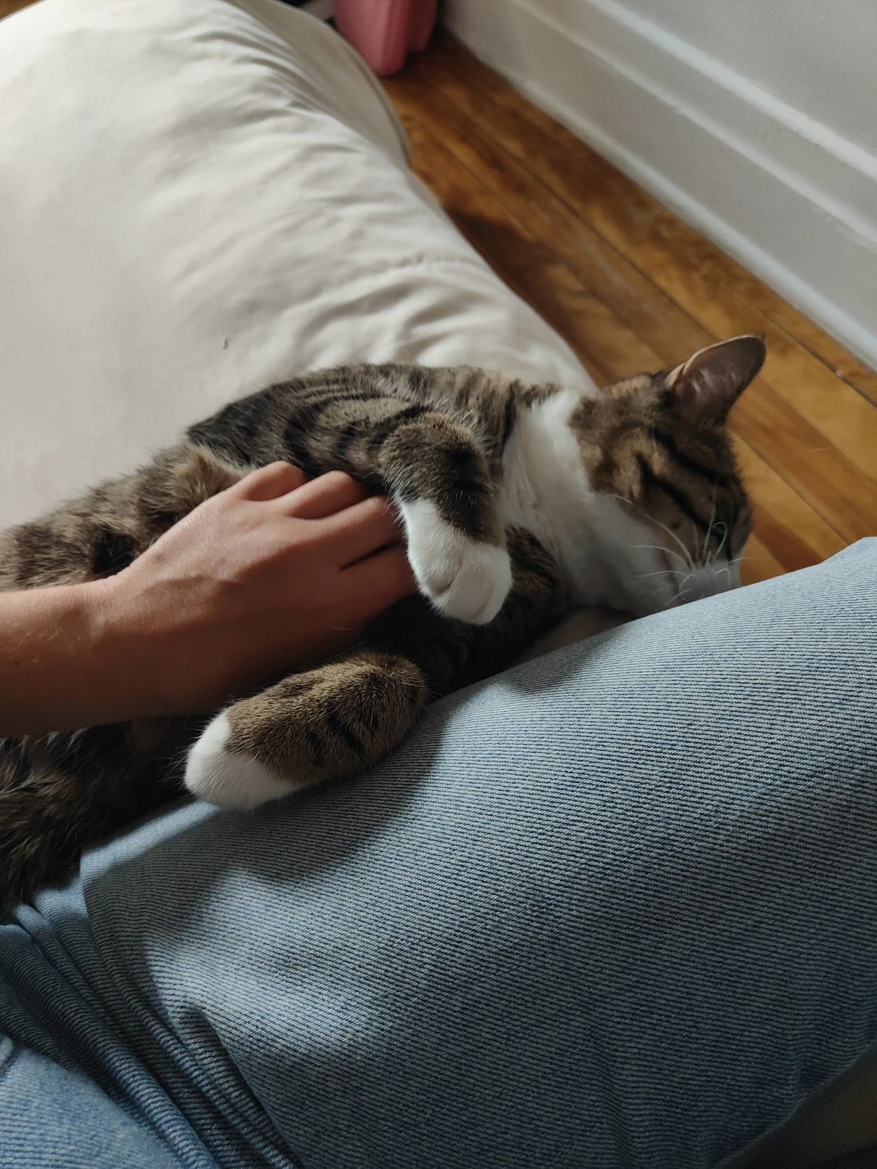 image-8