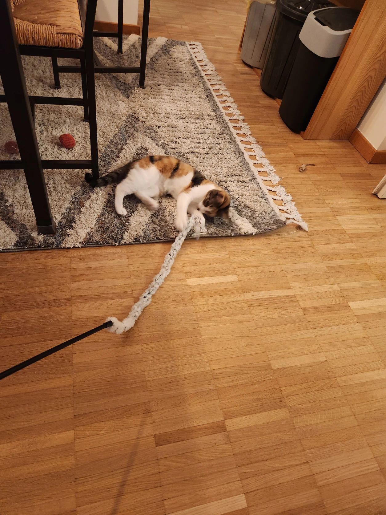 image-8