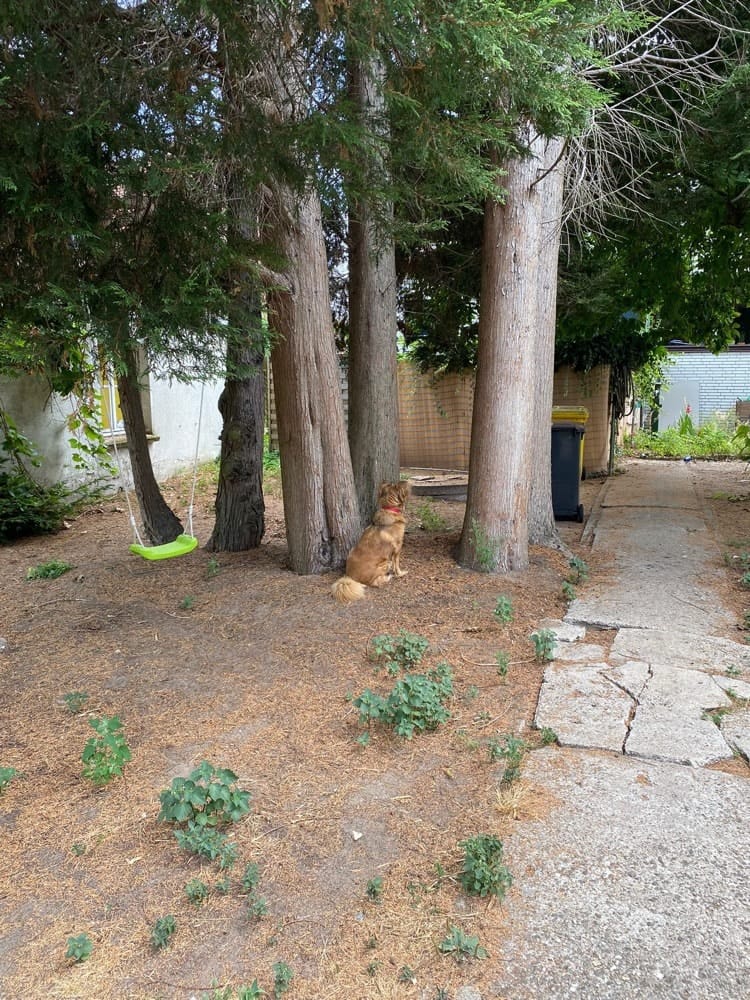 image-5