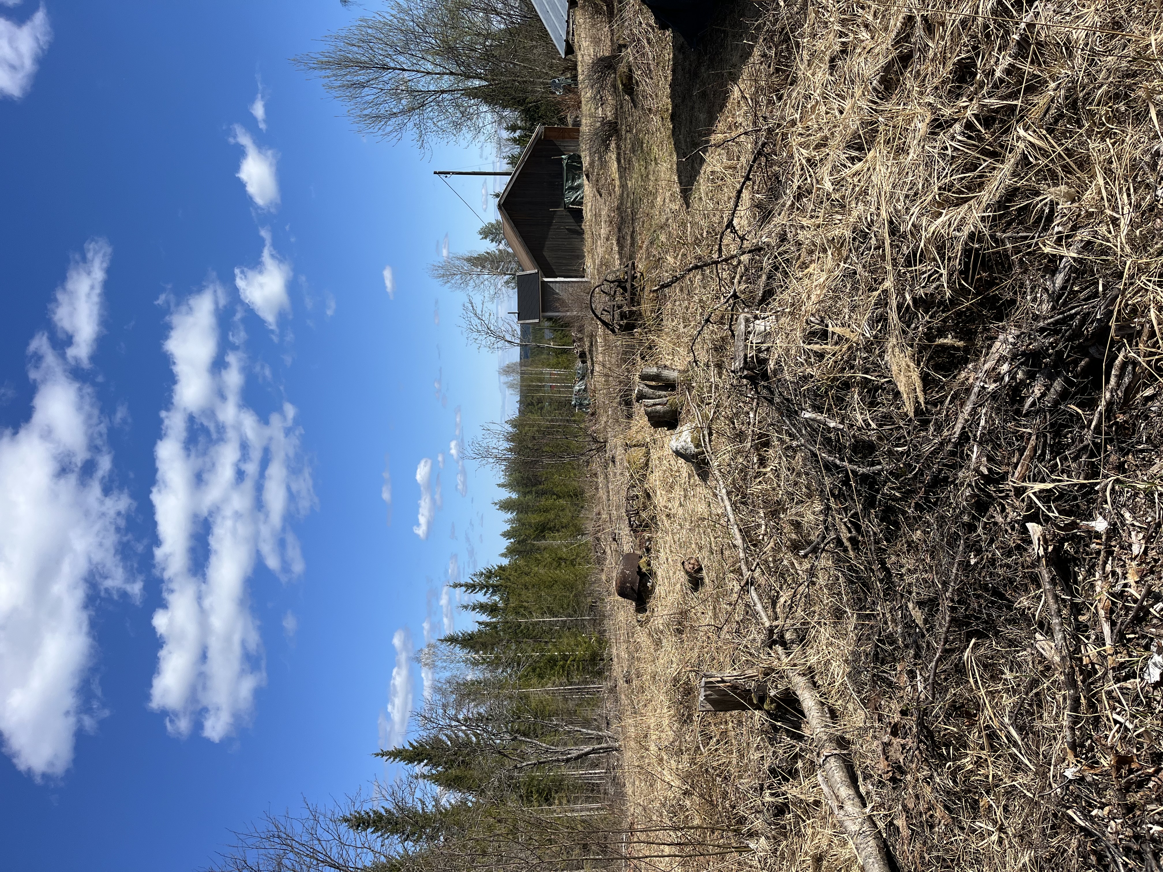 image-18