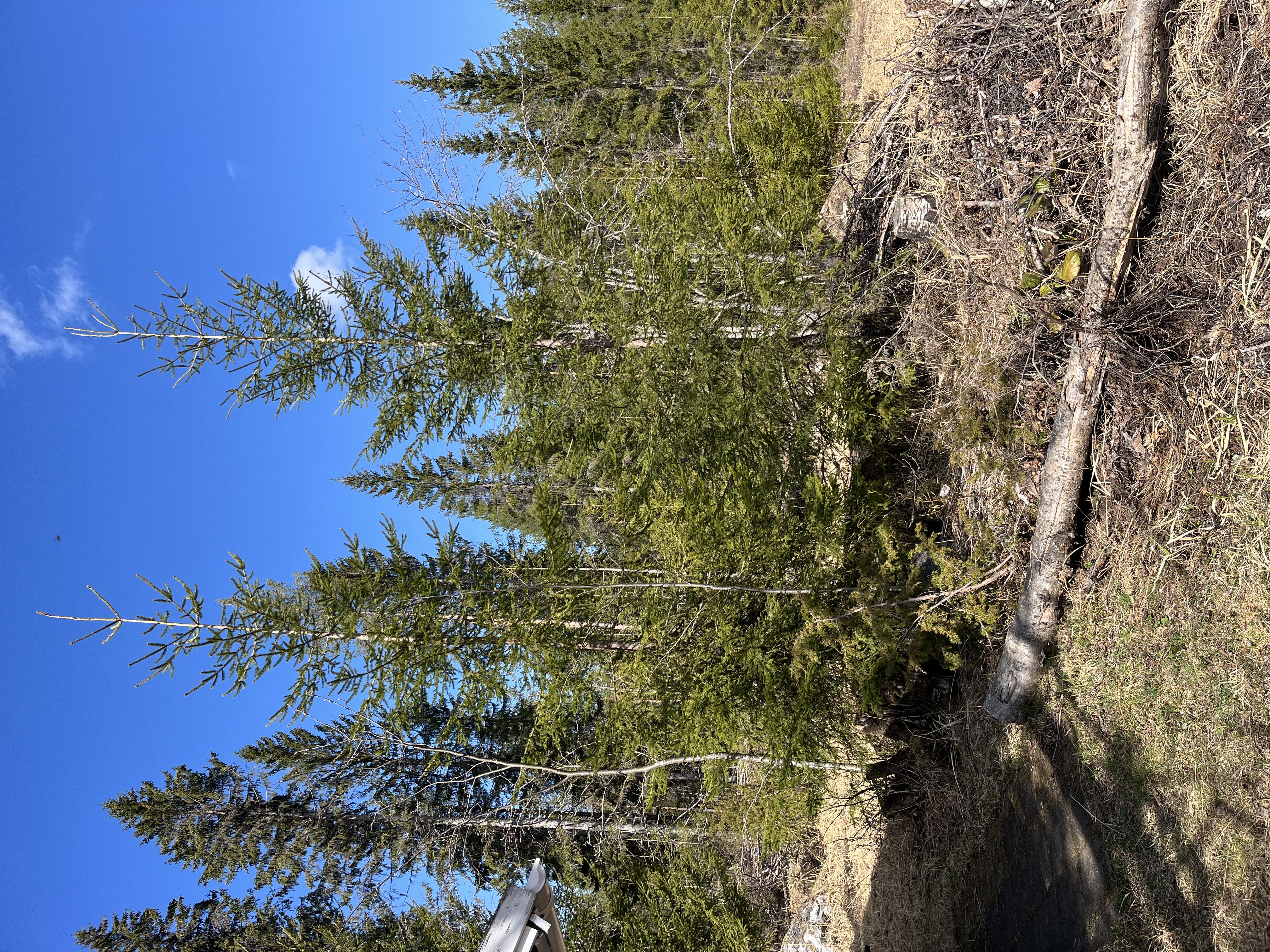 image-17