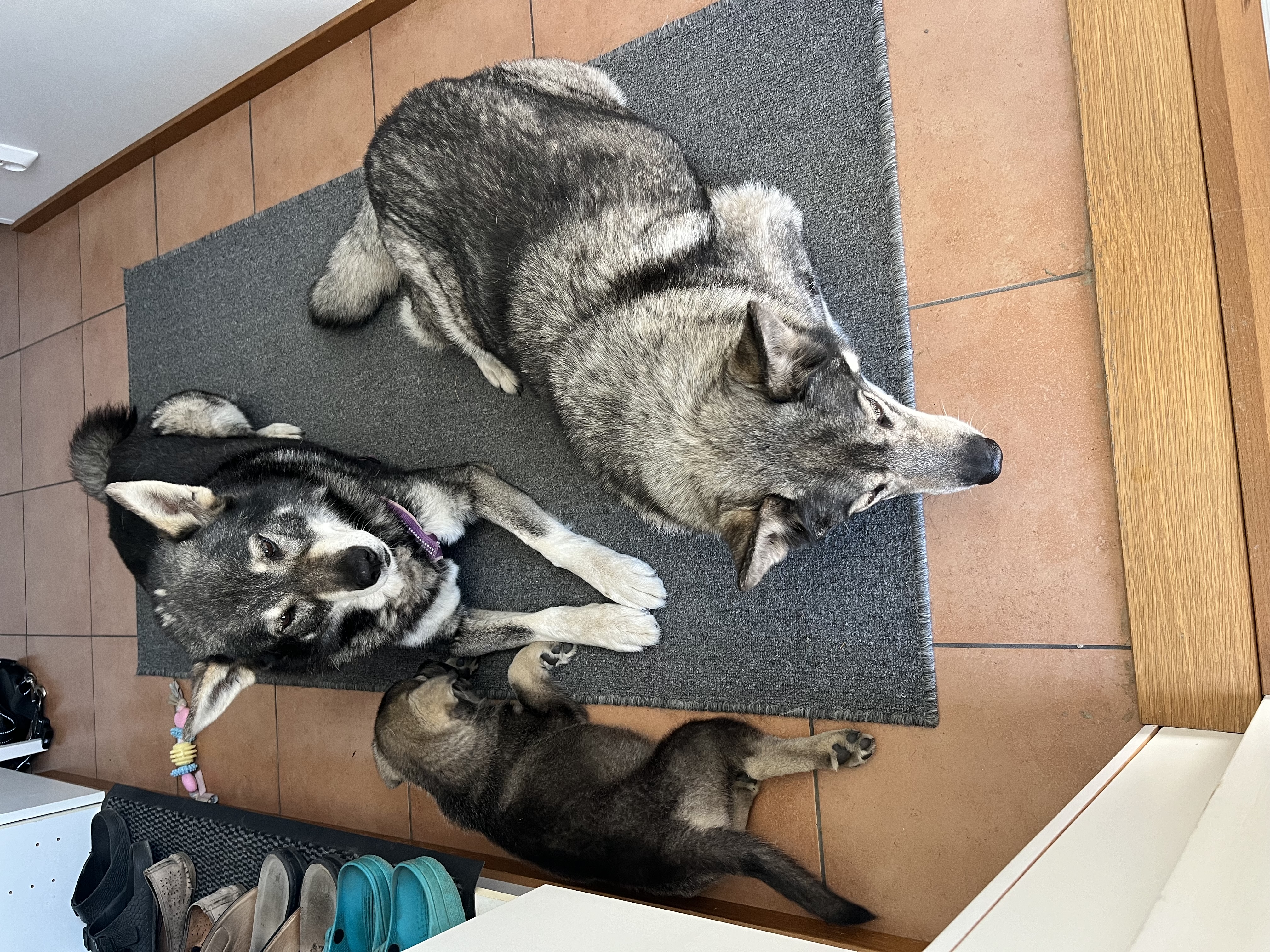 image-11