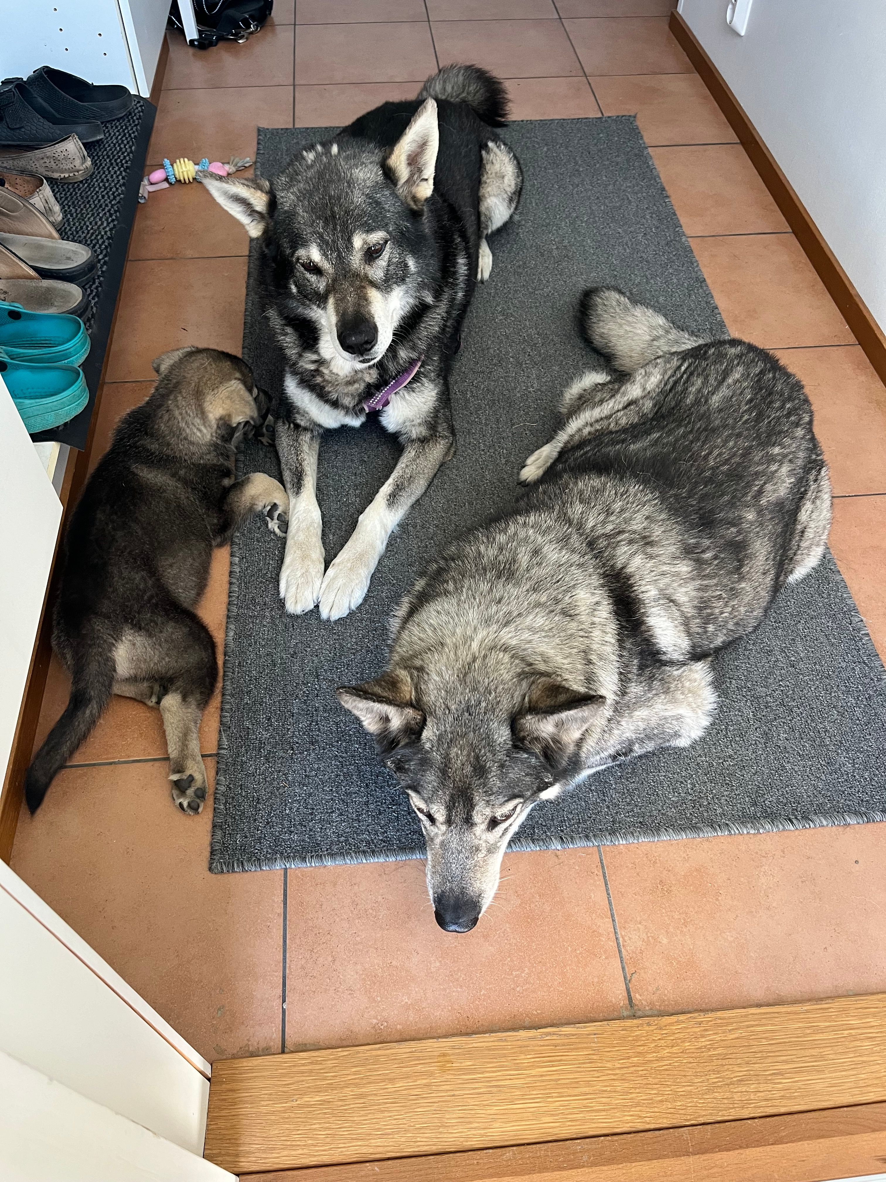 image-11