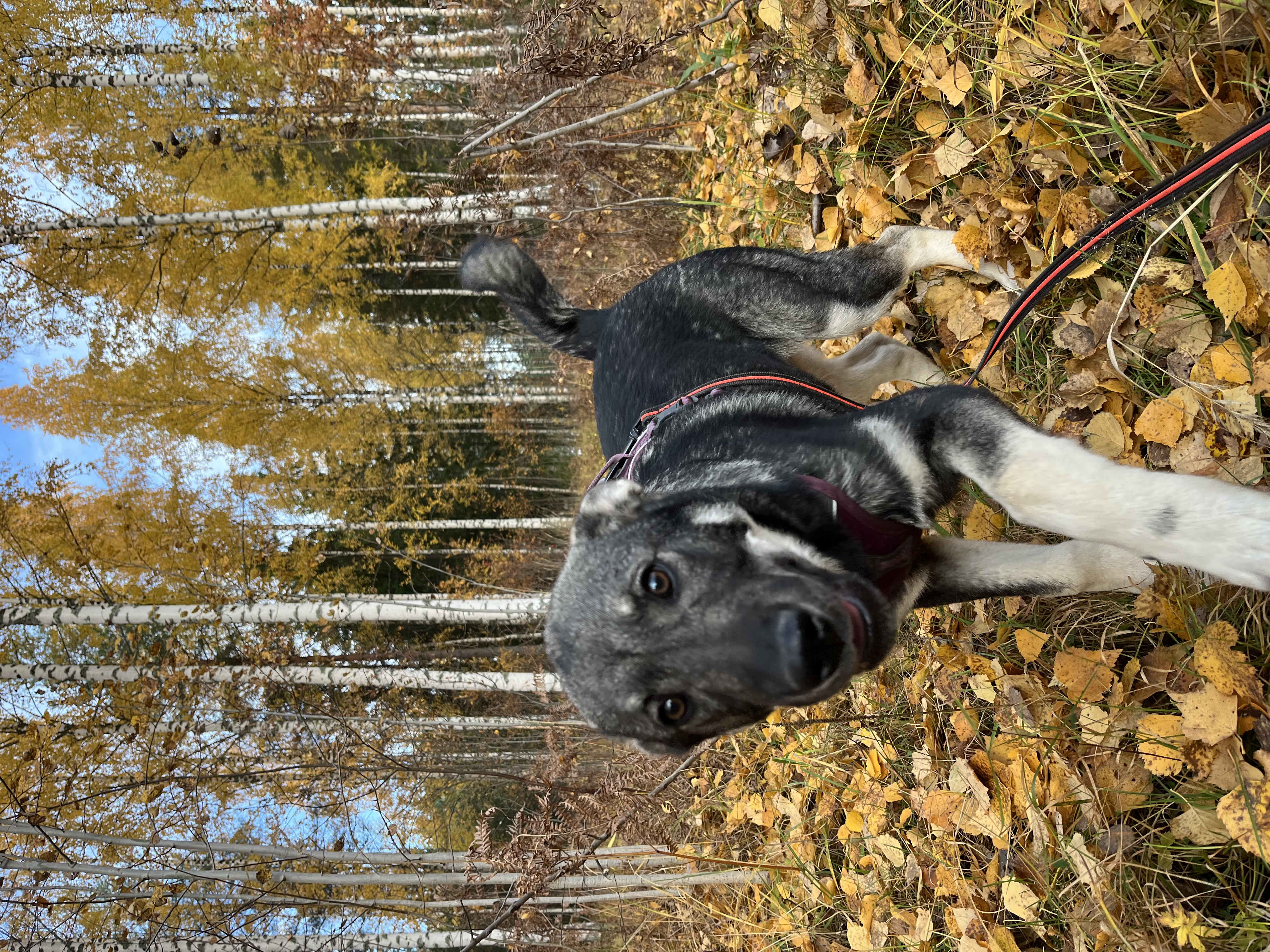 image-6