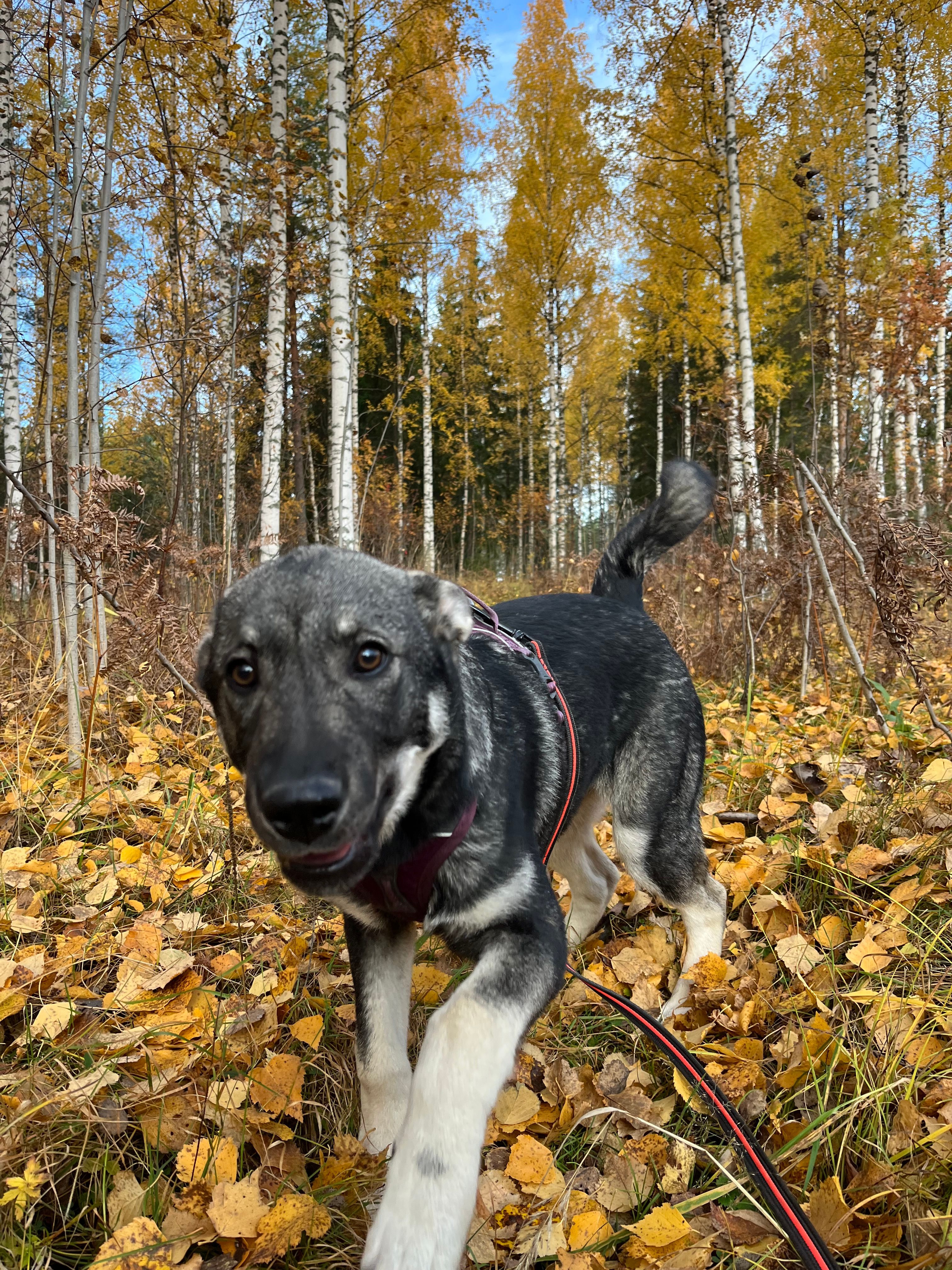 image-6
